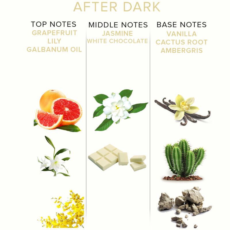 Tafel mit Noten von Grapefruit, Lilie, Galbanumöl, Jasmin, weisser Schokolade, Vanille, Kaktuswurzel und Ambra.