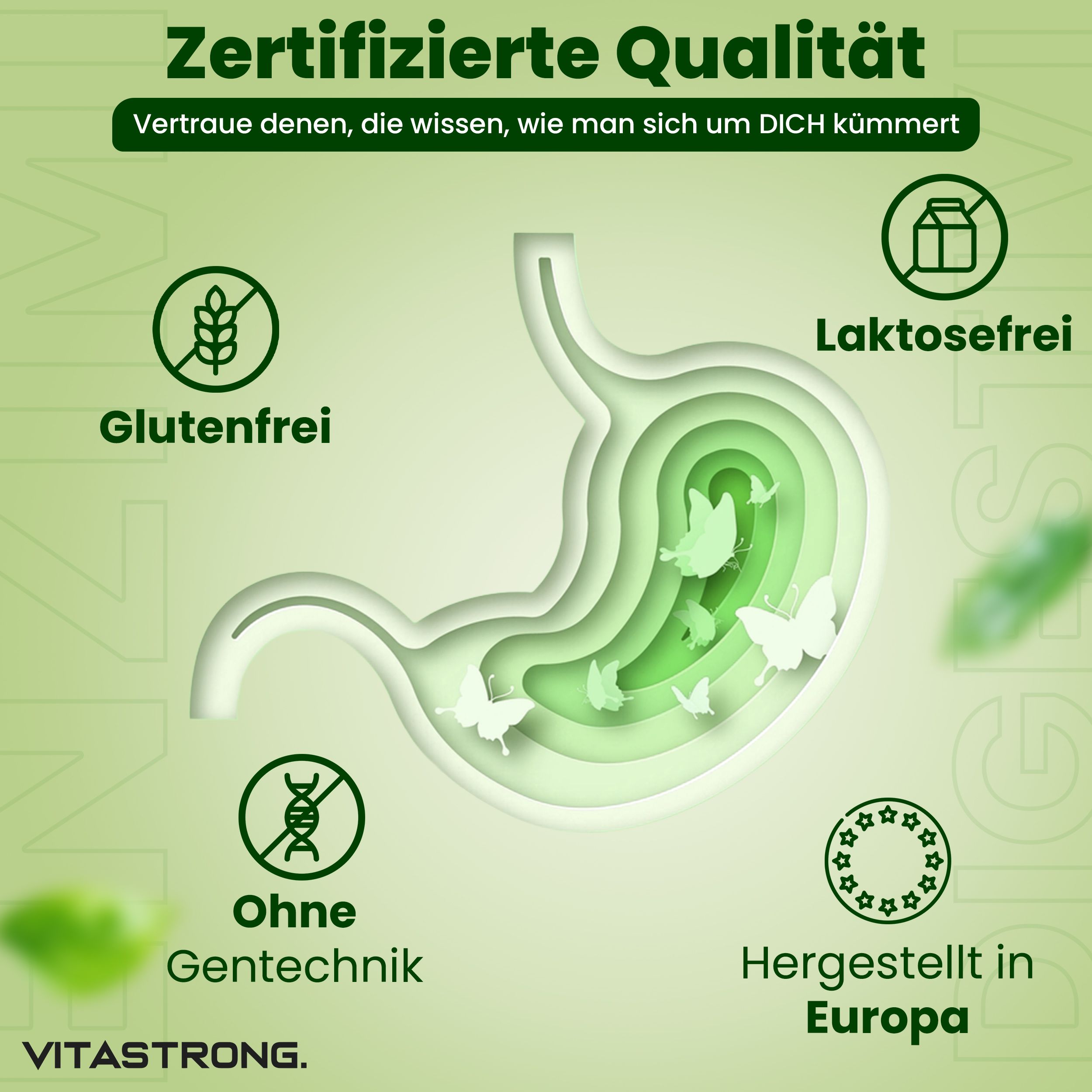 Vitastrong Enzimi Digestivi. Zertifizierte Qualität. Ohne Gluten, Laktose, Gentechnik. Hergestellt in Europa.