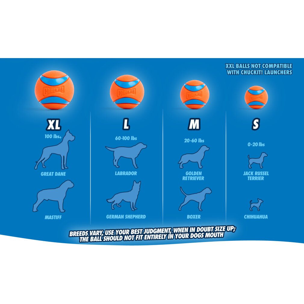 Blaues Poster mit Bällen in verschiedenen Größen. Hunde-Größen-Vergleich. Text: XXL Balls not compatible.