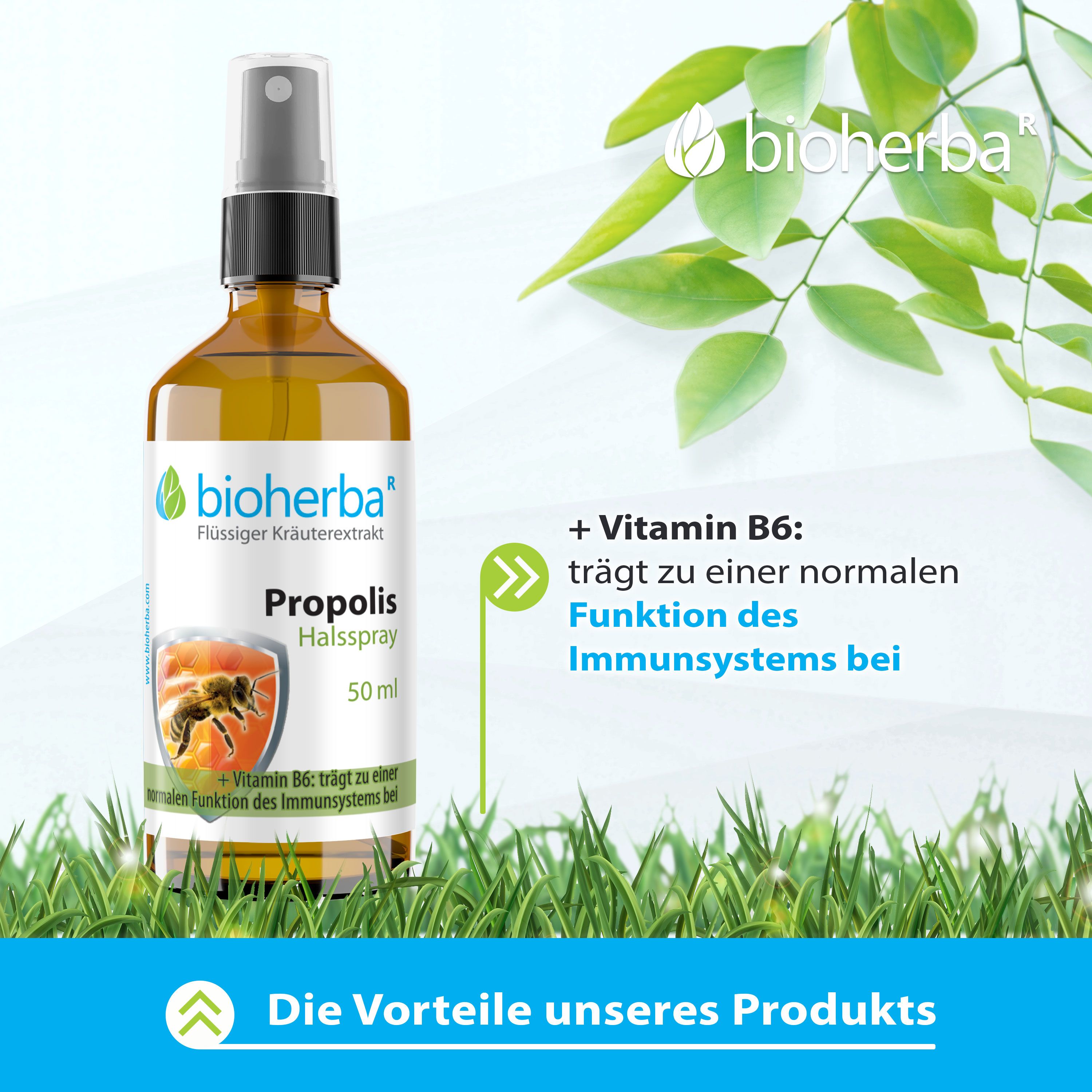 Bioherba Propolis Halsspray, 50 ml. Braune Flasche mit Sprühkopf. Text: + Vitamin B6: trägt zu einer normalen Funktion des Immunsystems bei.