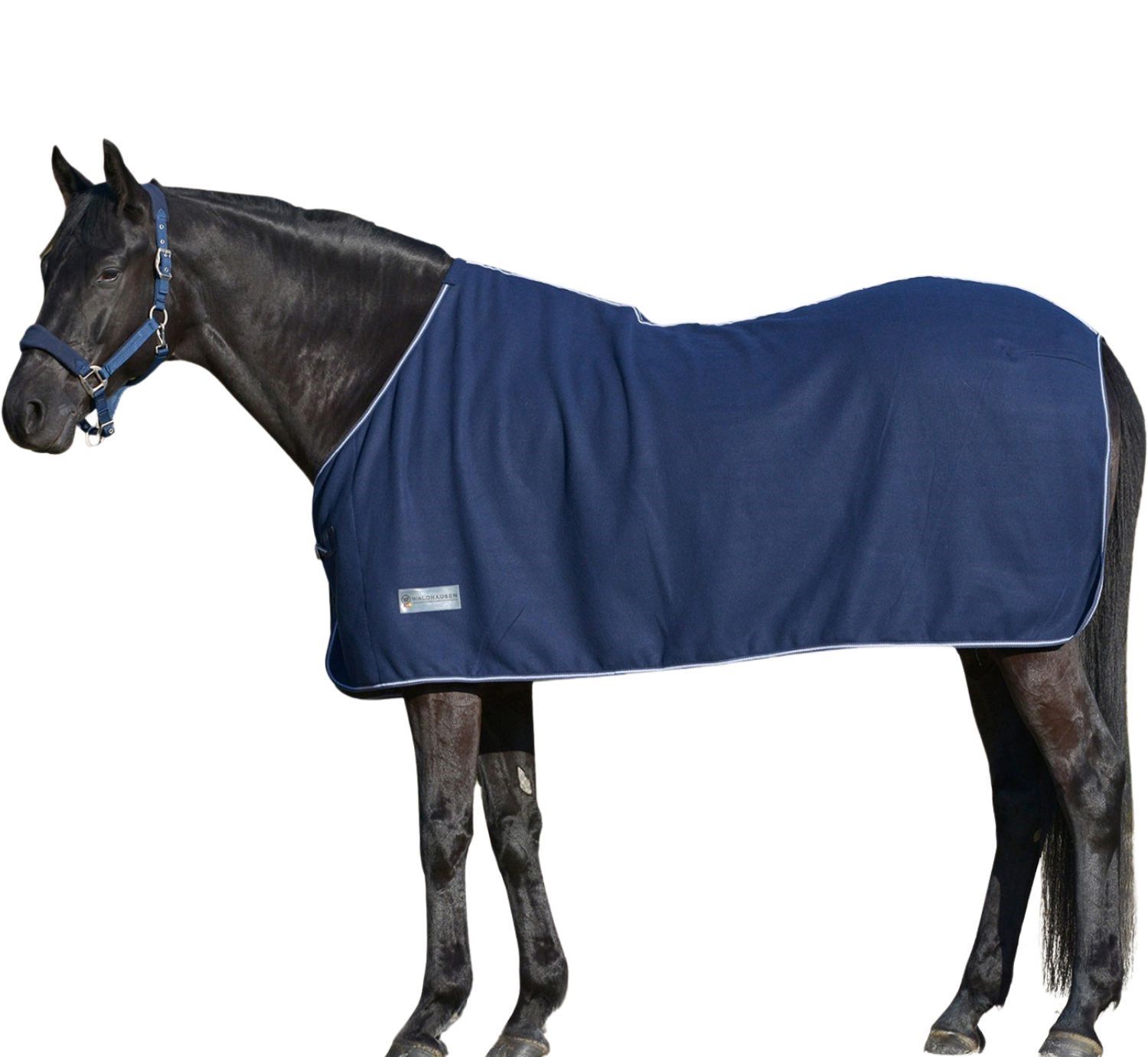 Schwarzes Pferd mit blauer Fleecedecke. Weiße Kontrastnaht. Pferd steht vor weißem Hintergrund.