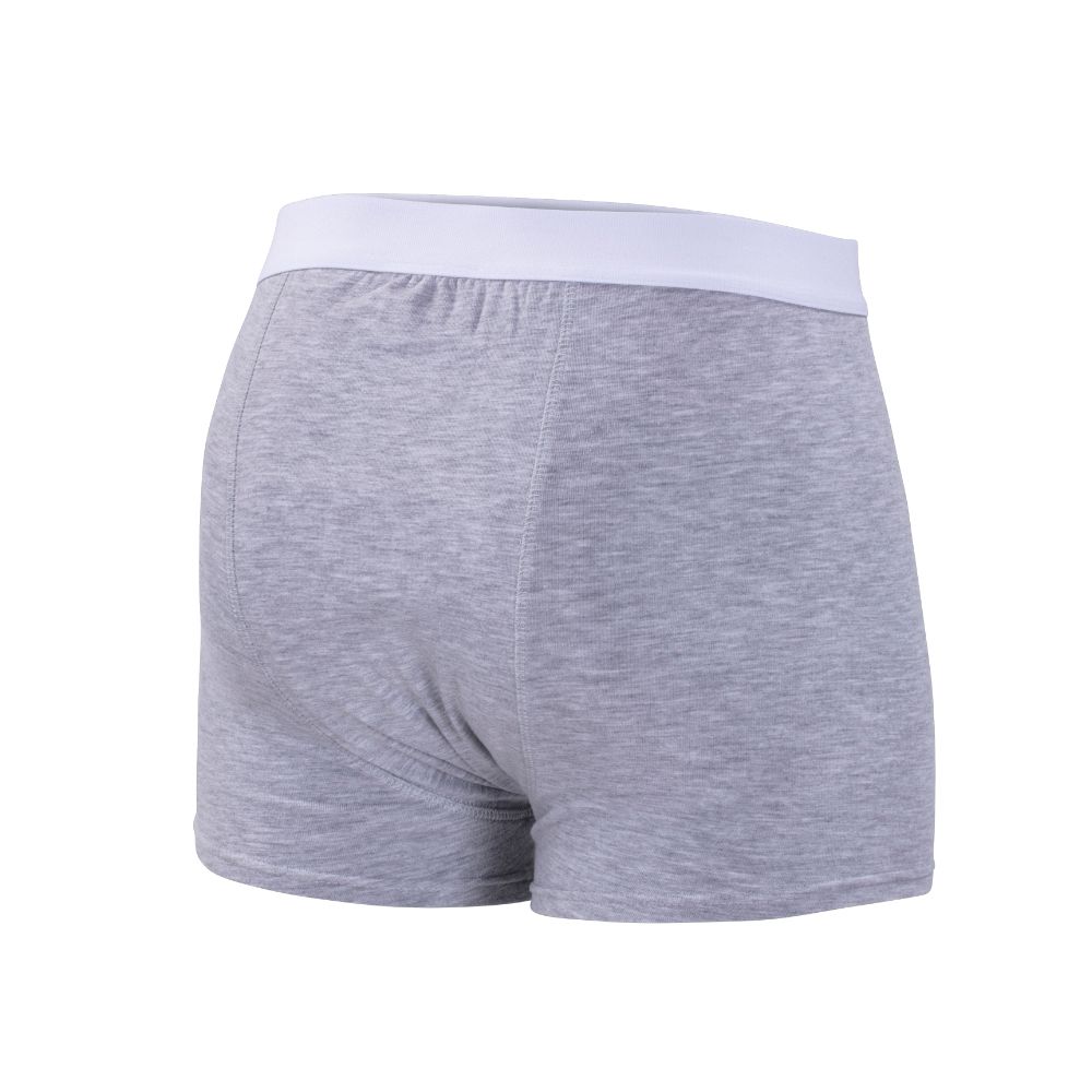 ActivePro Inkontinenzhose Men Normal Grau