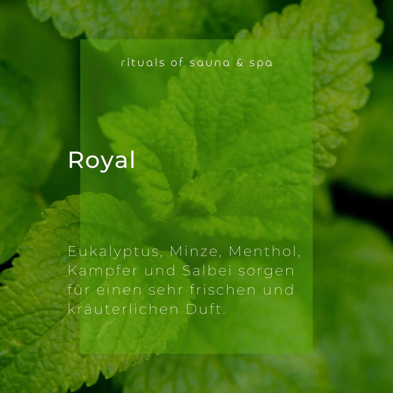 Grünes Blattwerk mit Text: Royal, Eukalyptus, Minze, Menthol, Kampfer und Salbei. Rituals of sauna & spa.