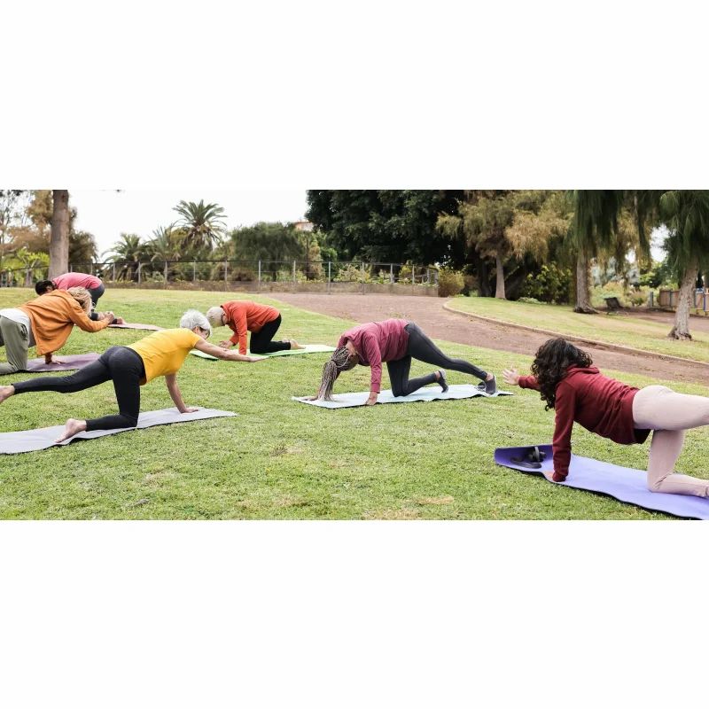 Gruppe von Menschen, die Yoga im Freien auf Matten praktizieren. Grünfläche, Bäume im Hintergrund.