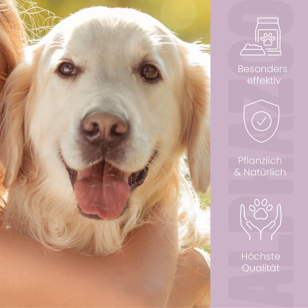 Hund mit Frau. Icons: Effektiv, pflanzlich, höchste Qualität. Text: MILBHUNTER.