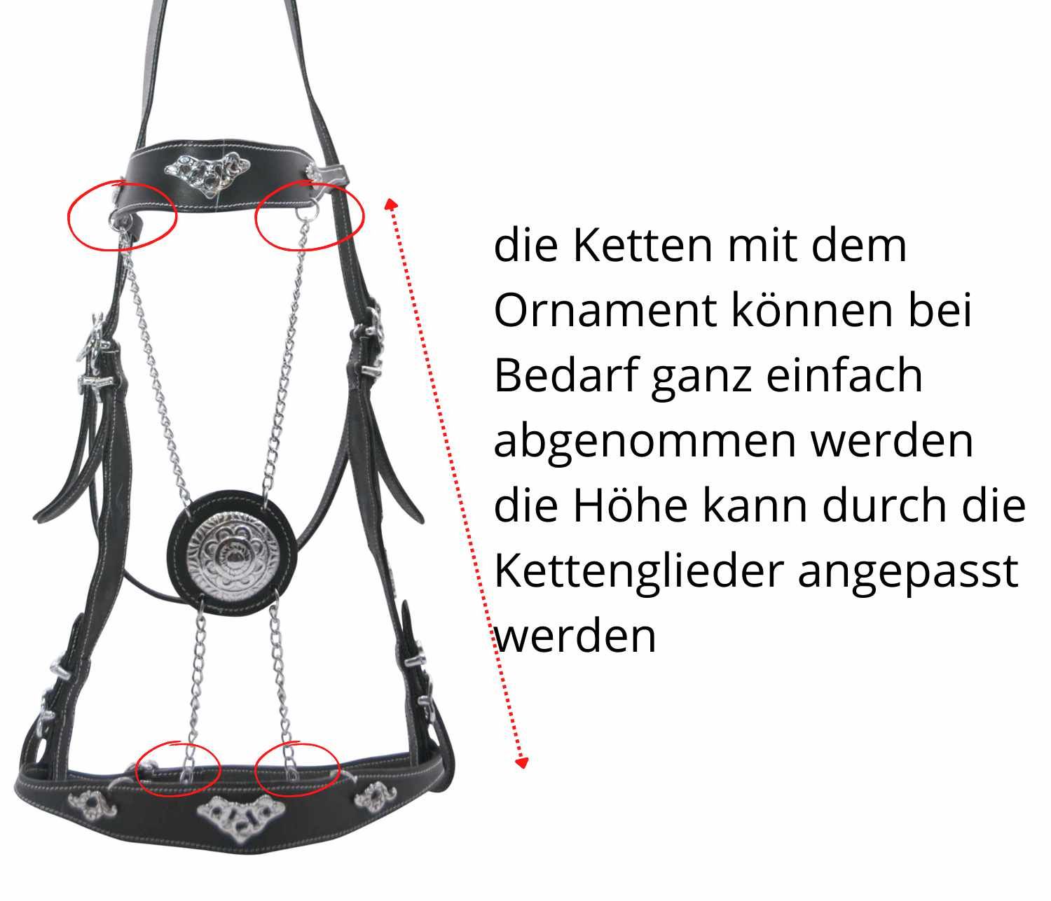 Schwarze Trense mit Ketten und Ornamenten. Text: 'die Ketten mit dem Ornament können bei Bedarf ganz einfach abgenommen werden'.