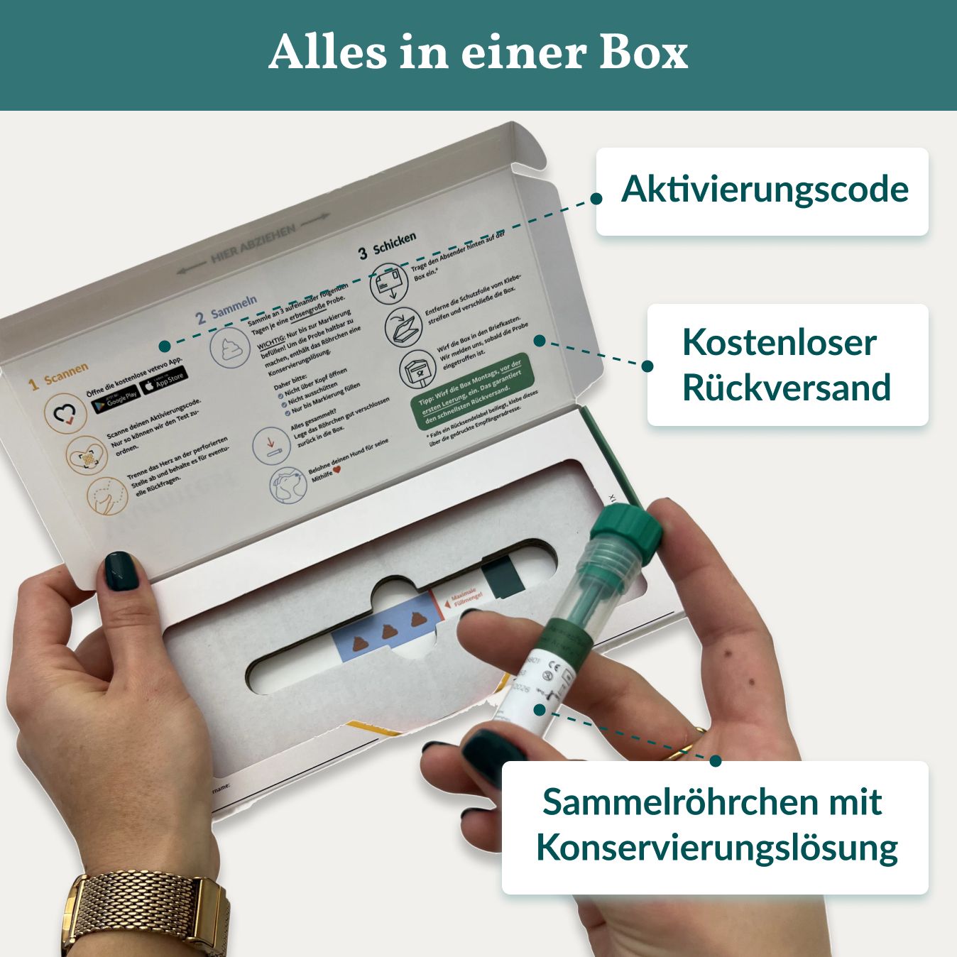 Geöffnete Box mit Aktivierungscode, Sammelröhrchen und Konservierungslösung. Hände halten Box.