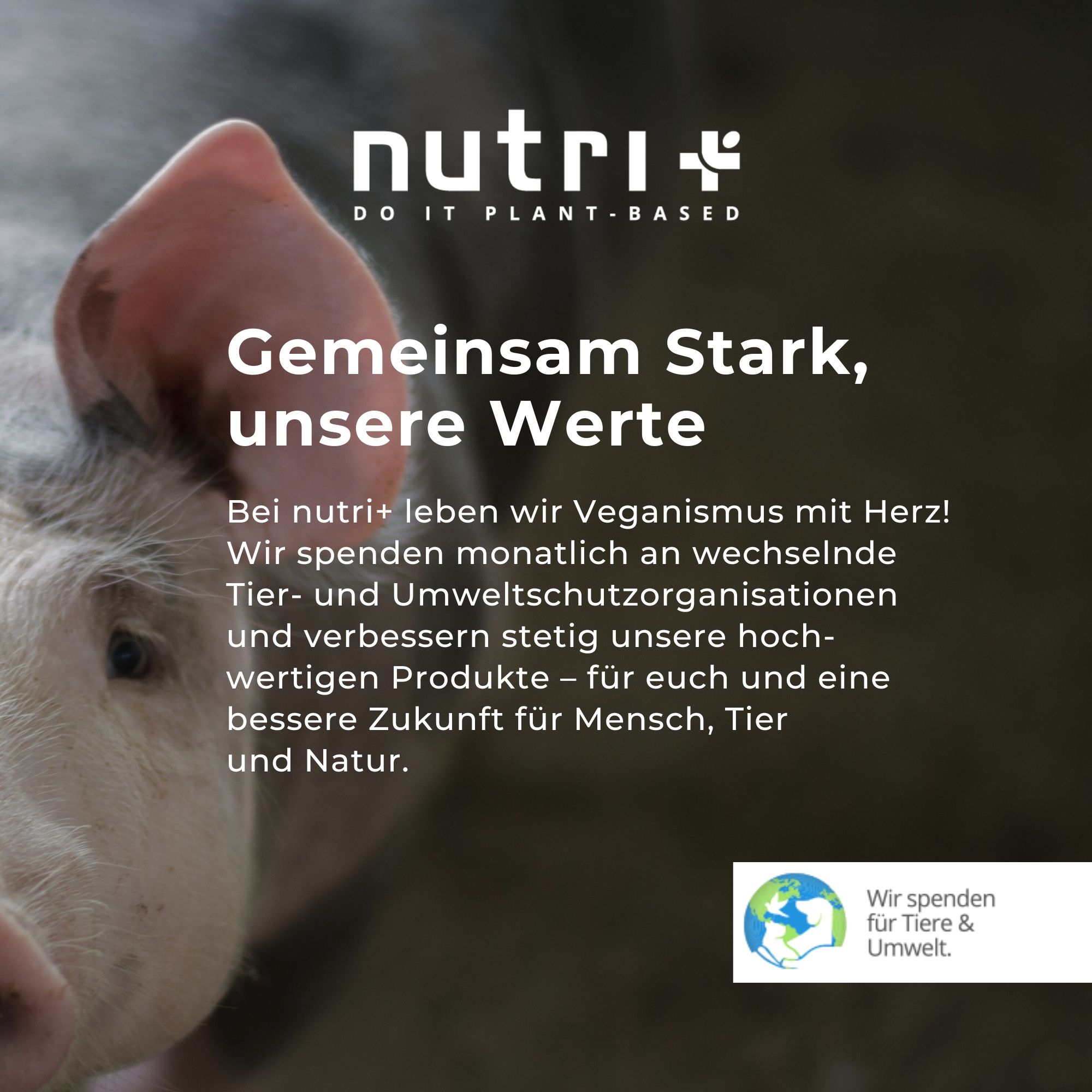 nutri+ Probenbox Vegan 3K Protein I
