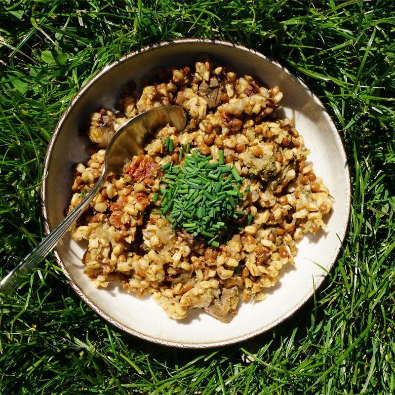 Kernbeißer Vollkorngerichte: Probierpaket