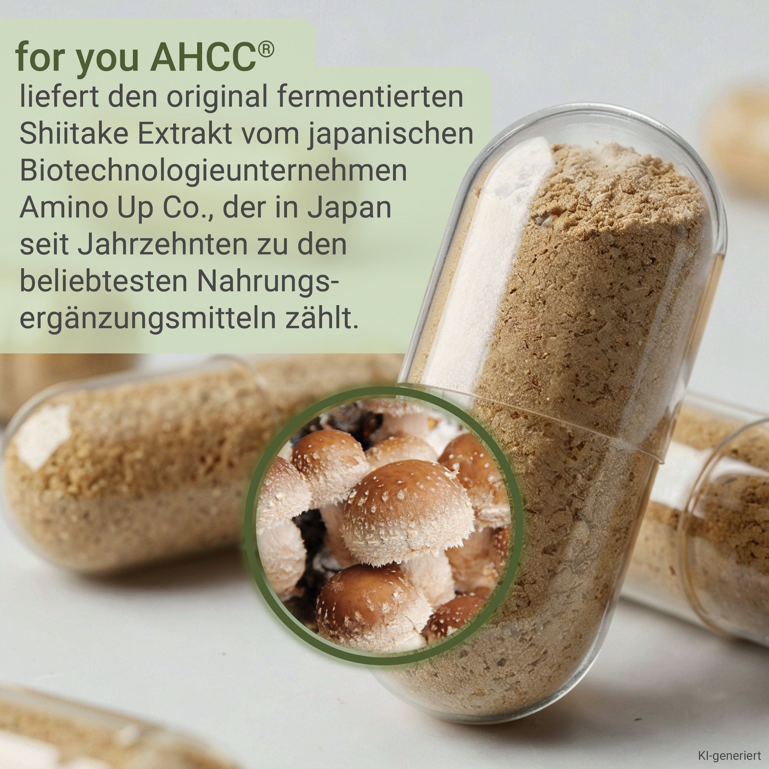 Nahaufnahme einer geöffneten AHCC® Kapsel mit Pulver und Shiitake-Pilzen im Detail.