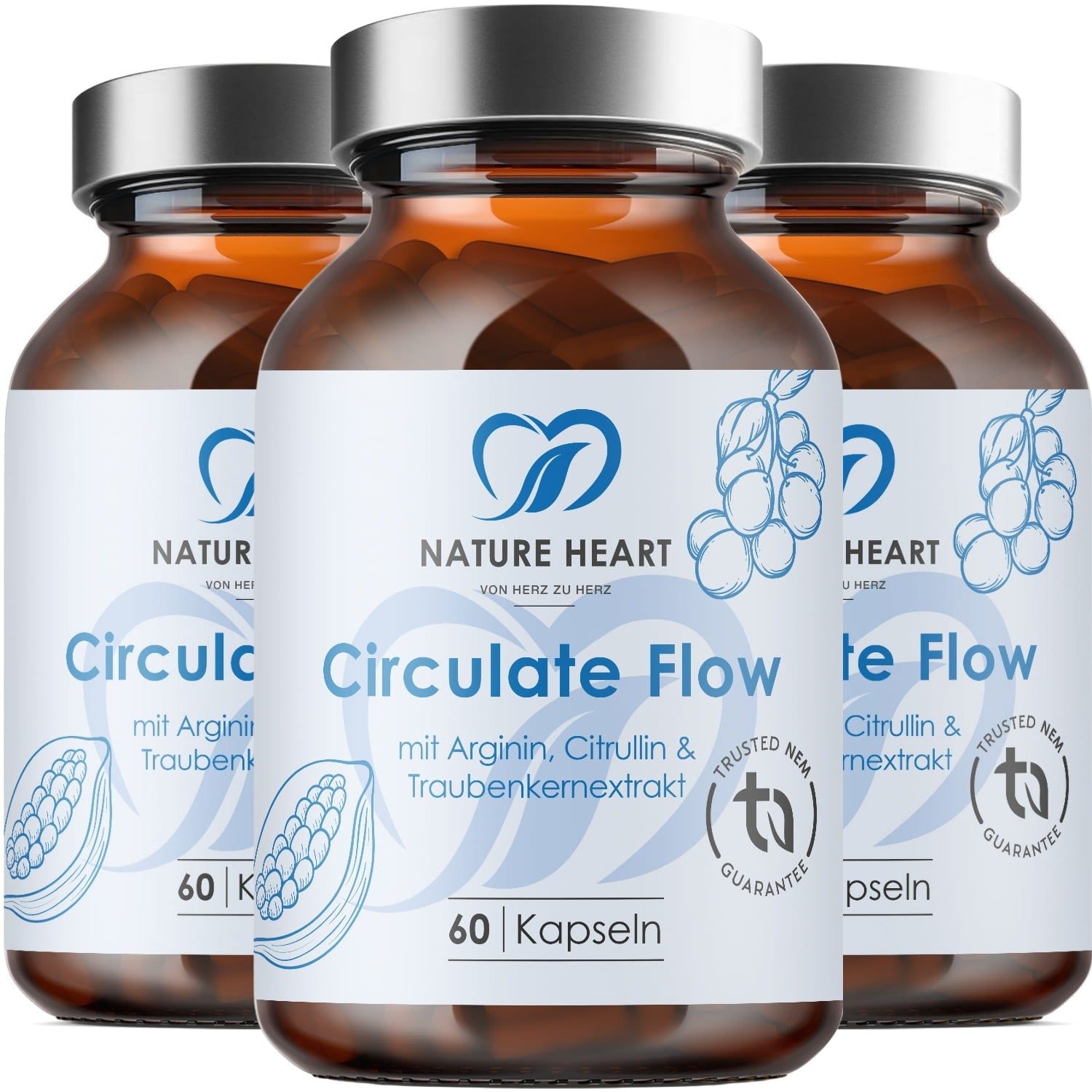Nature Heart Circulate Flow