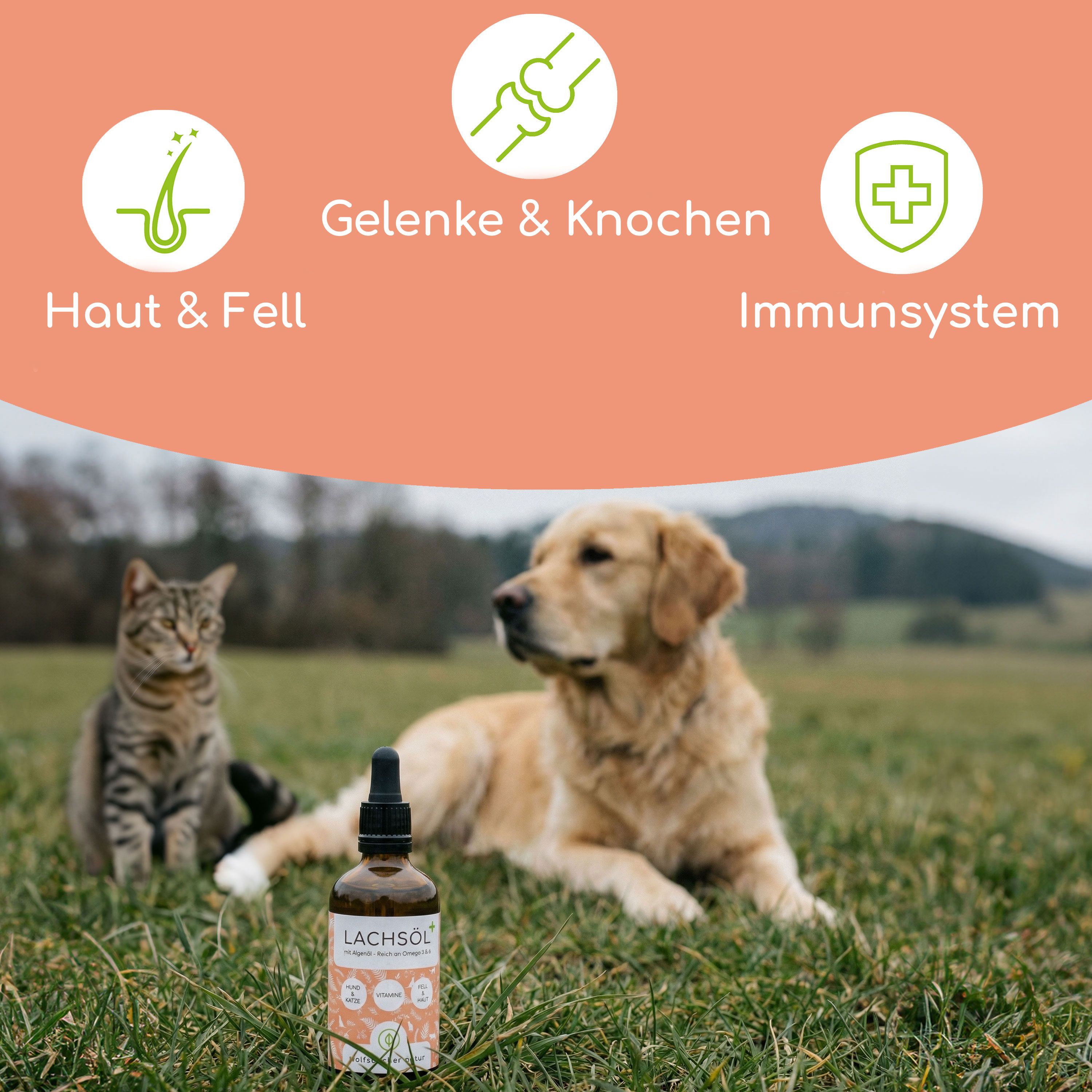 Eine Flasche Lachsöl mit einer Katze und einem Hund im Gras. Auf der Flasche steht "LACHSÖL". Oben sind Icons für Haut & Fell, Gelenke & Knochen, Immunsystem.