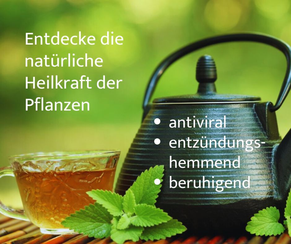 Hashimoto Harmony Bio Schilddrüsen Tee "Dein Schutzschild" lose