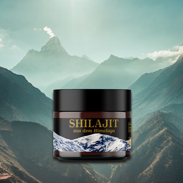 Braune Dose mit schwarzem Deckel. Aufschrift SHILAJIT, darunter Gebirgsmotiv. Vor Berglandschaft platziert.