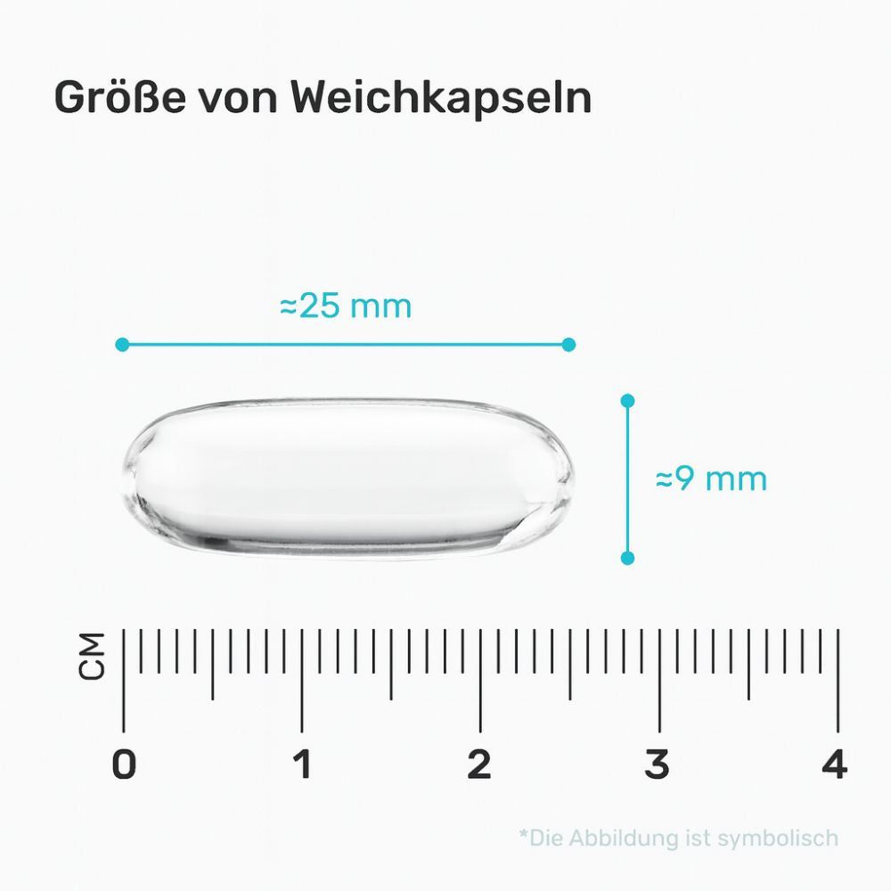 Nahaufnahme einer Weichkapsel. Maße: ca. 25 mm x 9 mm. Skala in cm.
