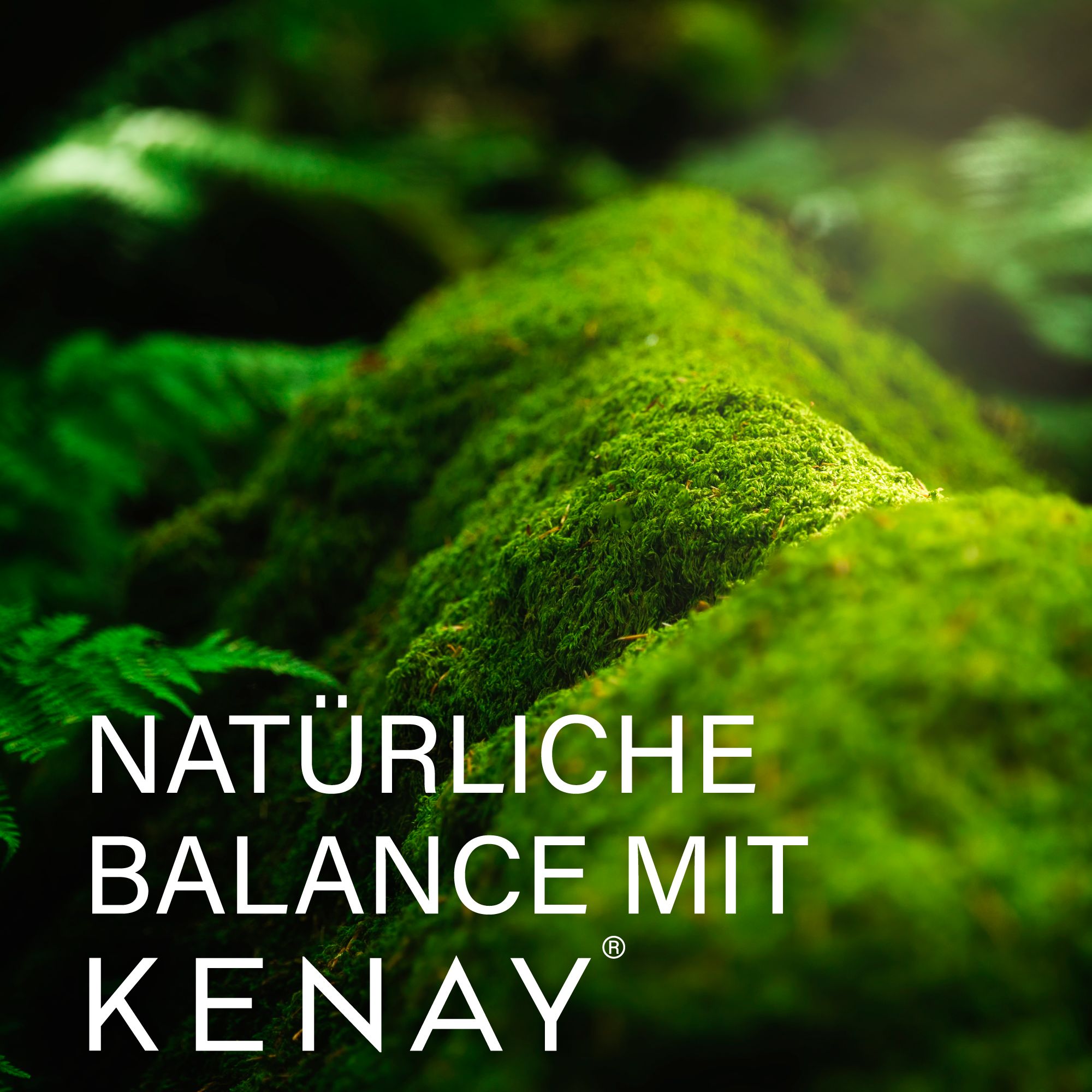 Text vor grünem Hintergrund: NATÜRLICHE BALANCE MIT KENAY®. Kein Produkt abgebildet.