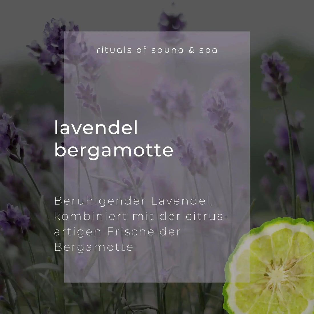 Lavendel Bergamotte. Text auf transparentem Hintergrund. Lavendelblüten und Bergamotte-Frucht im Hintergrund.