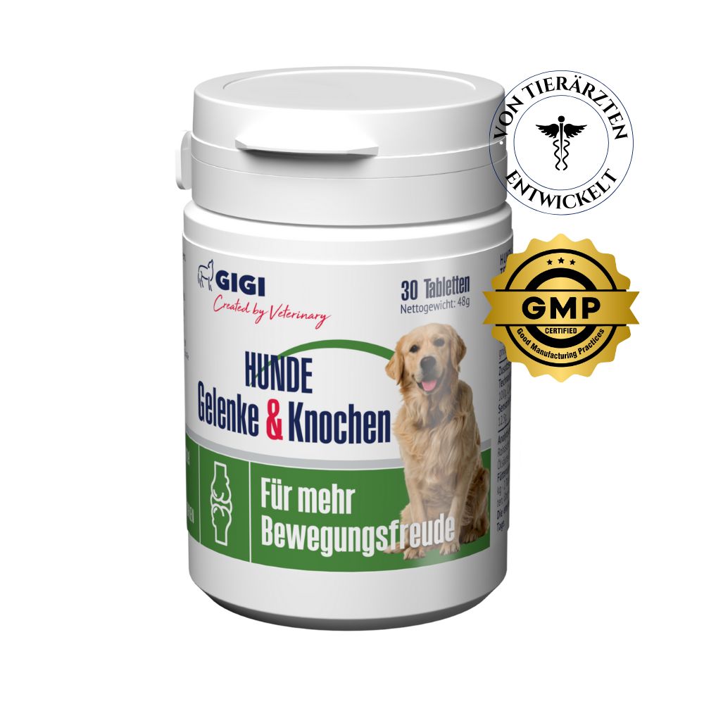 Weiße Tabletten-Dose mit Aufschrift 'Gelenke & Knochen'. GMP-Siegel und Tierarzt-Logo.