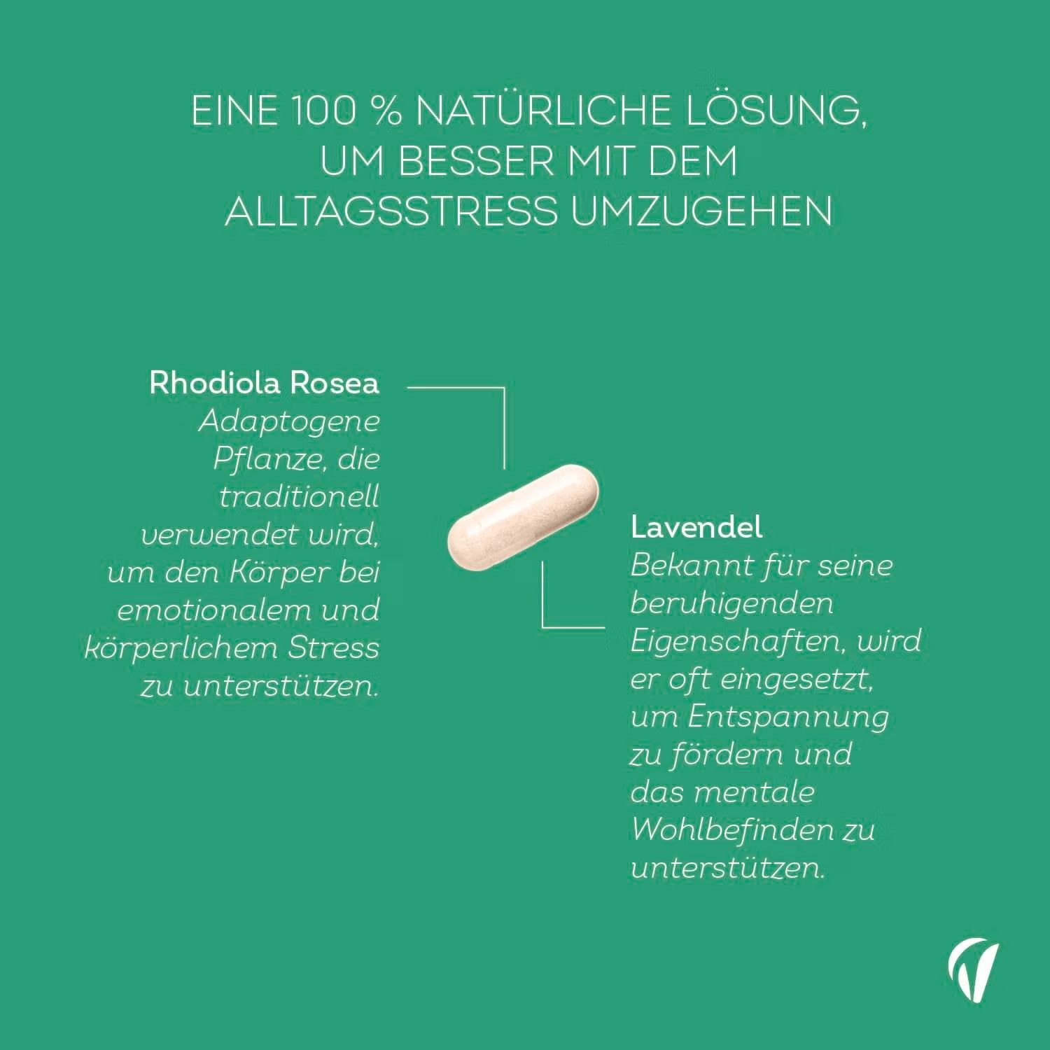 Vitavea Rhodiola Rosea mit Lavendel