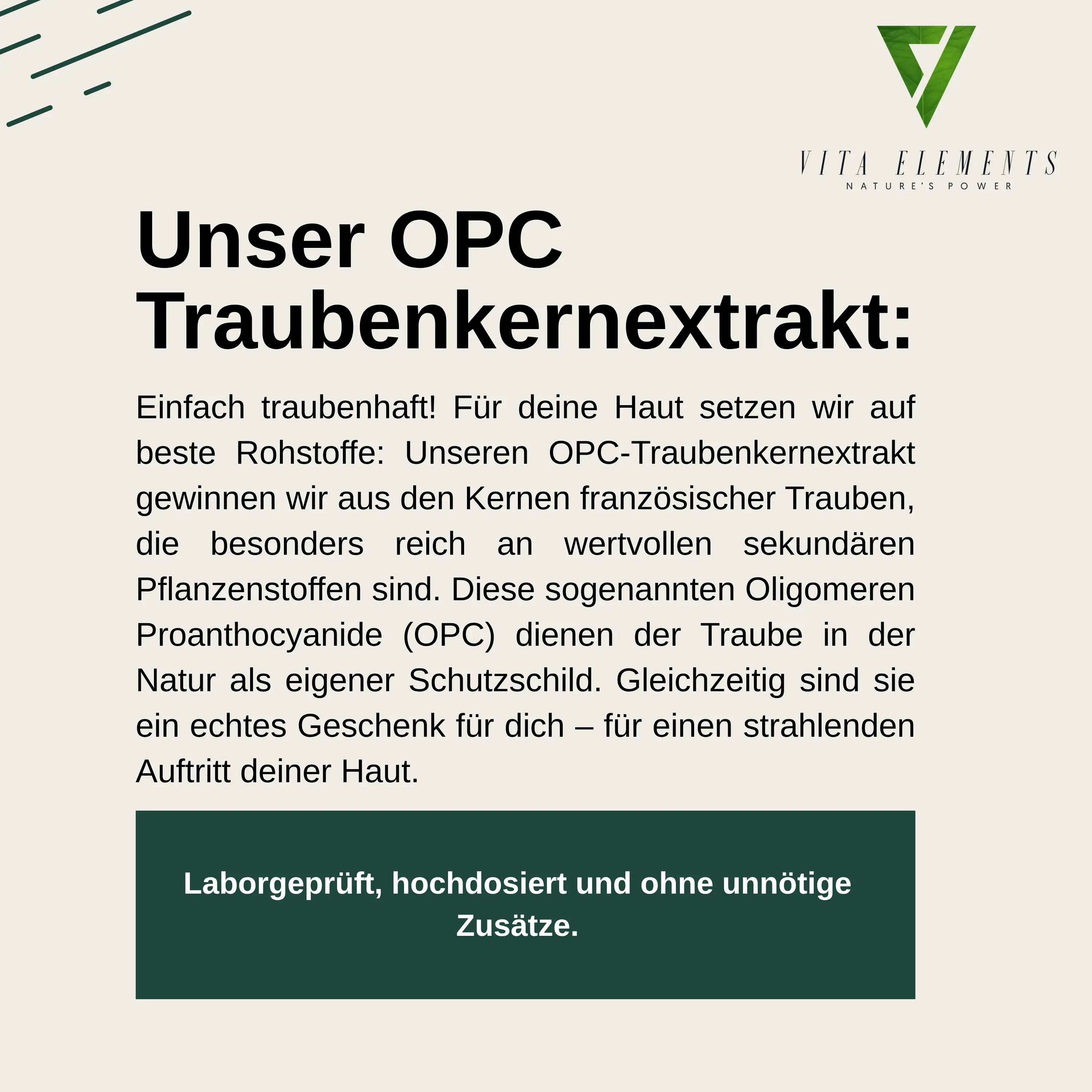 Informationen über Vita Elements OPC Traubenkernextrakt. Laborgeprüft, hochdosiert, ohne Zusätze.