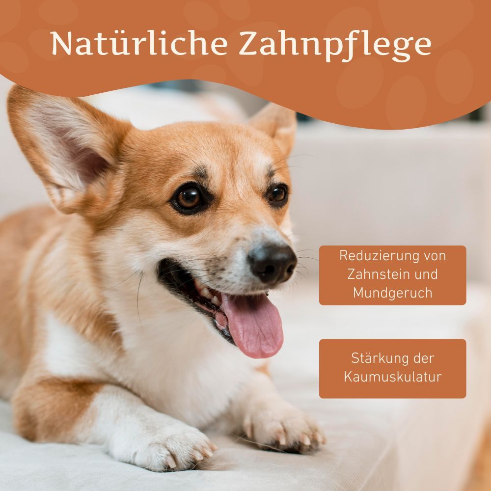 Drei Yak-Käse-Kausnacks. Text: Tolle Leckerei für deinen Welpen. Verhindert unerwünschtes Kauen. Reduziert Angstzustände. Langanhaltend.