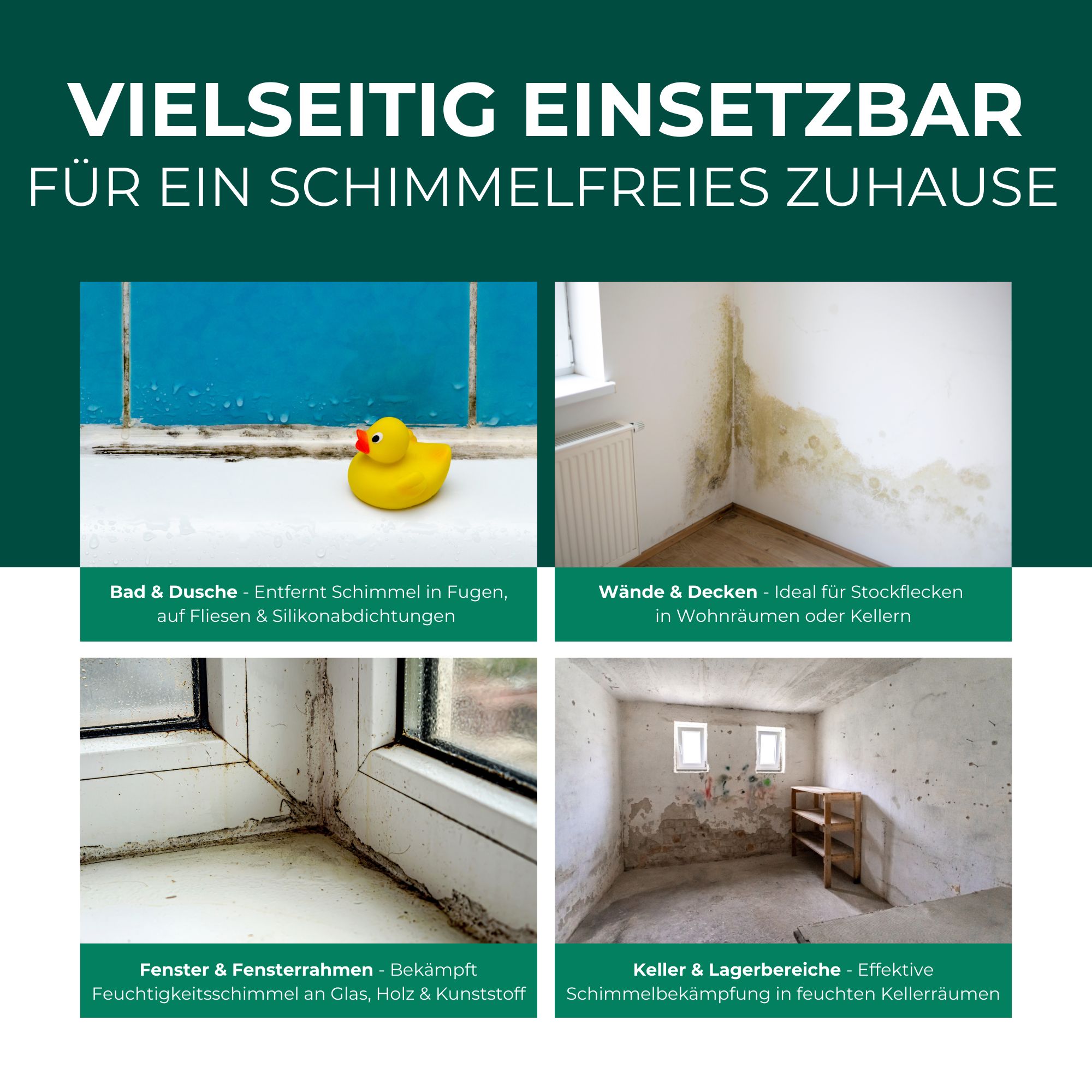 SILBERKRAFT Schimmelentferner mit E-Book