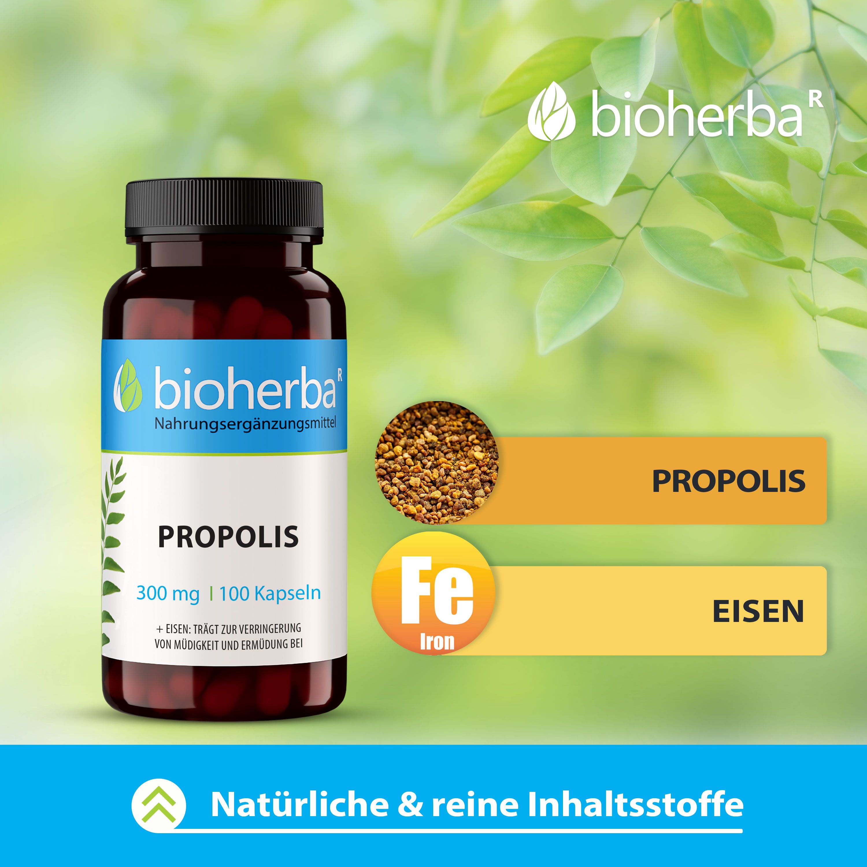 Bioherba Propolis Kapseln-Flasche. 100 Kapseln, 300 mg. Neben Propolis und Eisen. Text: Natürliche & reine Inhaltsstoffe.