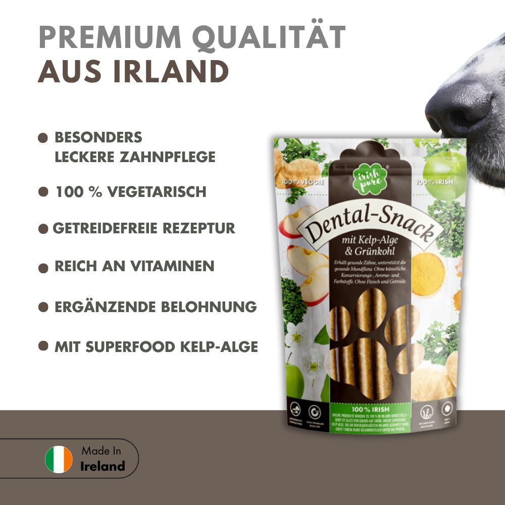 Verpackung von Irish Pure Dental-Snack mit Kelp-Alge & Grünkohl, gehalten in einer Hand.