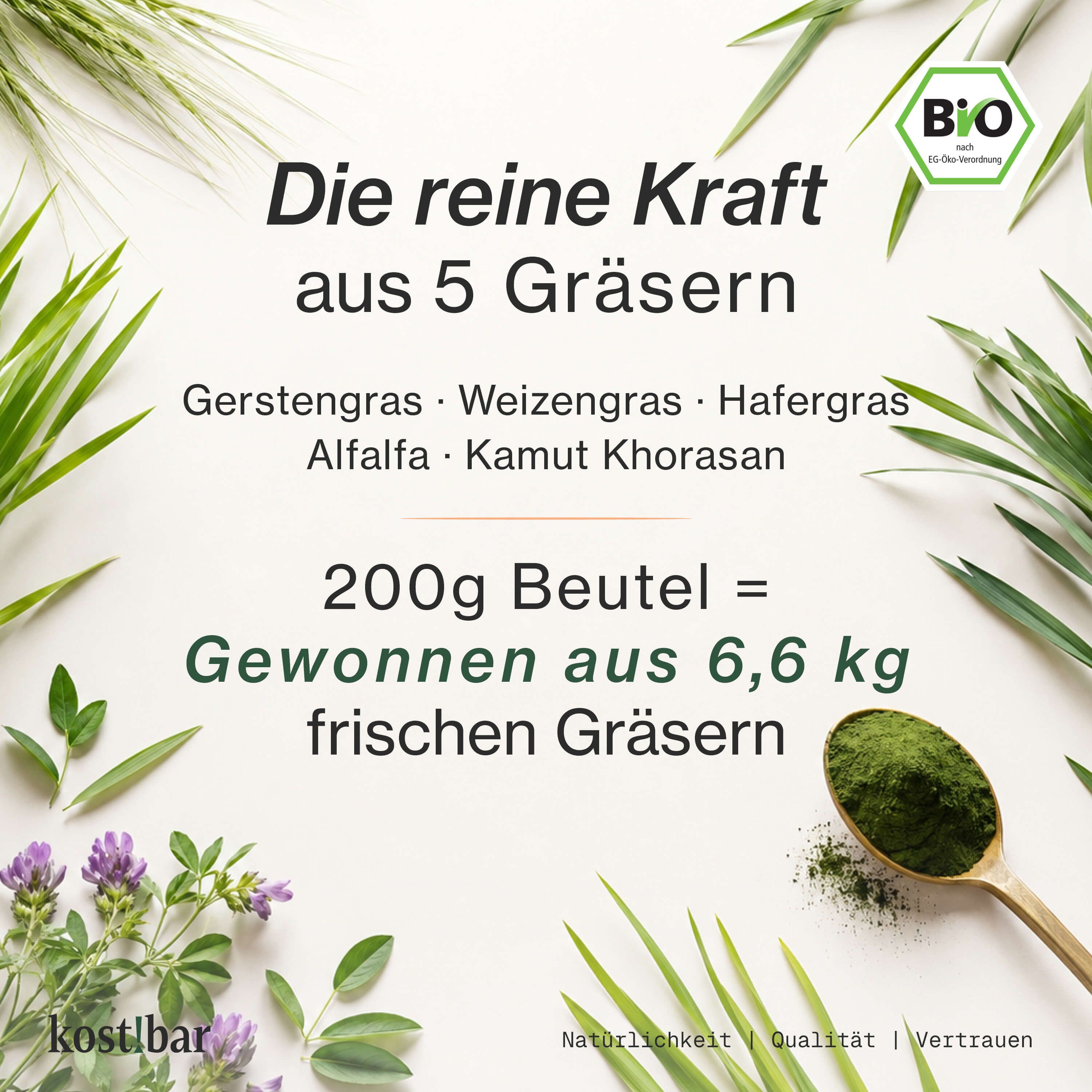 Grünes Pulver auf einem Löffel neben einem Beutel. Text über die Kraft aus 5 Gräsern.