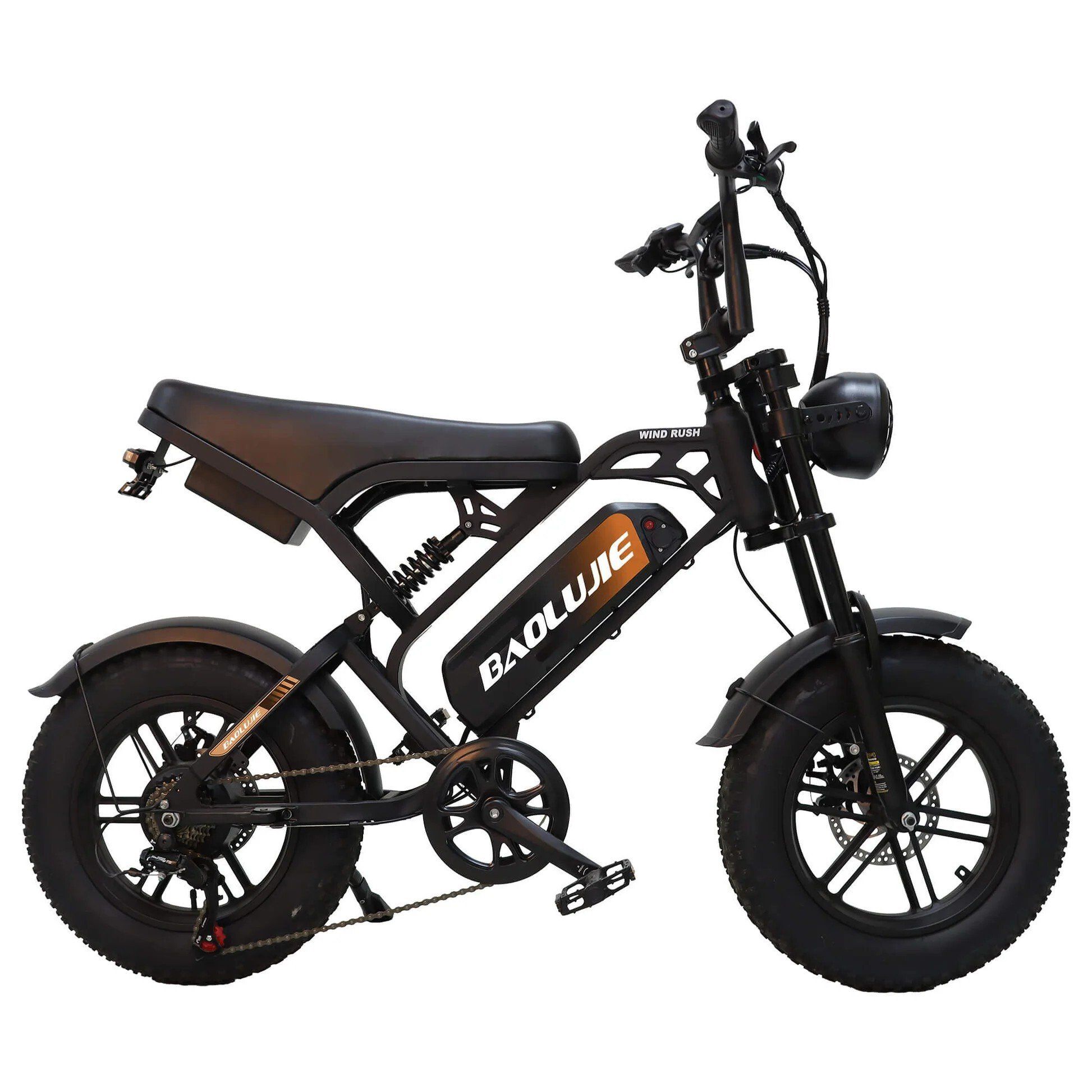 BAOLUJIE F2 E-Bike mit Vollfederung, 48 V 13 Ah, 16" x 4,0"
