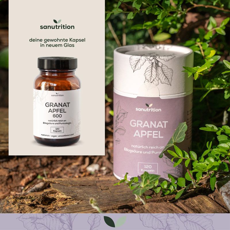 Produktabbildung: Glasflasche mit Kapseln, daneben eine zylindrische Verpackung. Beide mit "GRANAT APFEL 600". Sanutrition Logo. Natürliche Inhaltsstoffe.
