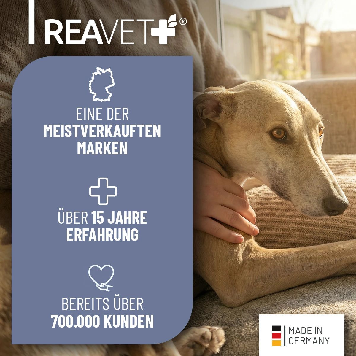 Hund auf Sofa. Text: ReaVET. Eine der meistverkauften Marken. Über 15 Jahre Erfahrung. Bereits über 700.000 Kunden. Made in Germany.