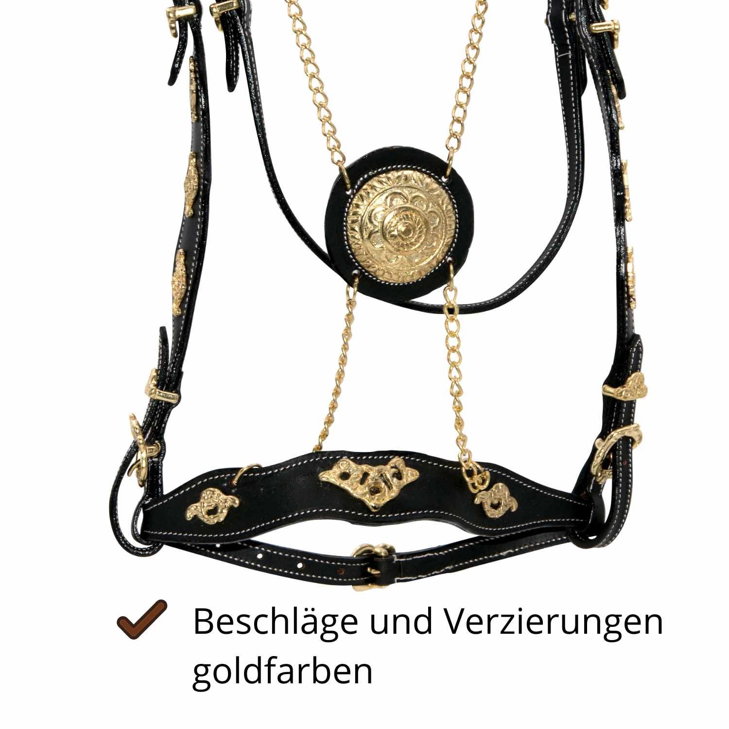 Nahaufnahme einer schwarzen Trense mit goldenen Beschlägen und Verzierungen. Text: 'Beschläge und Verzierungen goldfarben'.