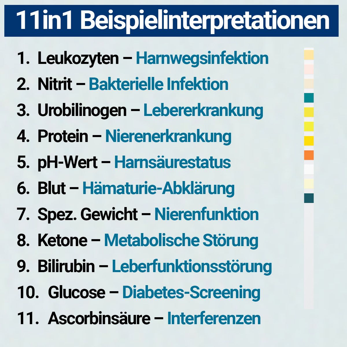 HIXO 11in1 Gesundheitstest Selbsttest Urin-Schnelltest