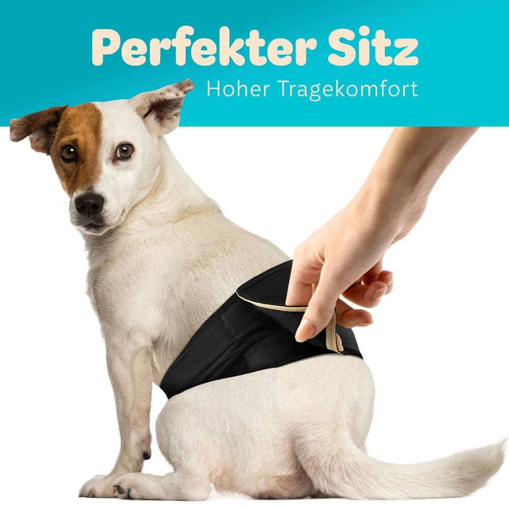 Schwarze Hundewindel am Hund. Hand öffnet Klettverschluss. Text: Perfekter Sitz, hoher Tragekomfort.