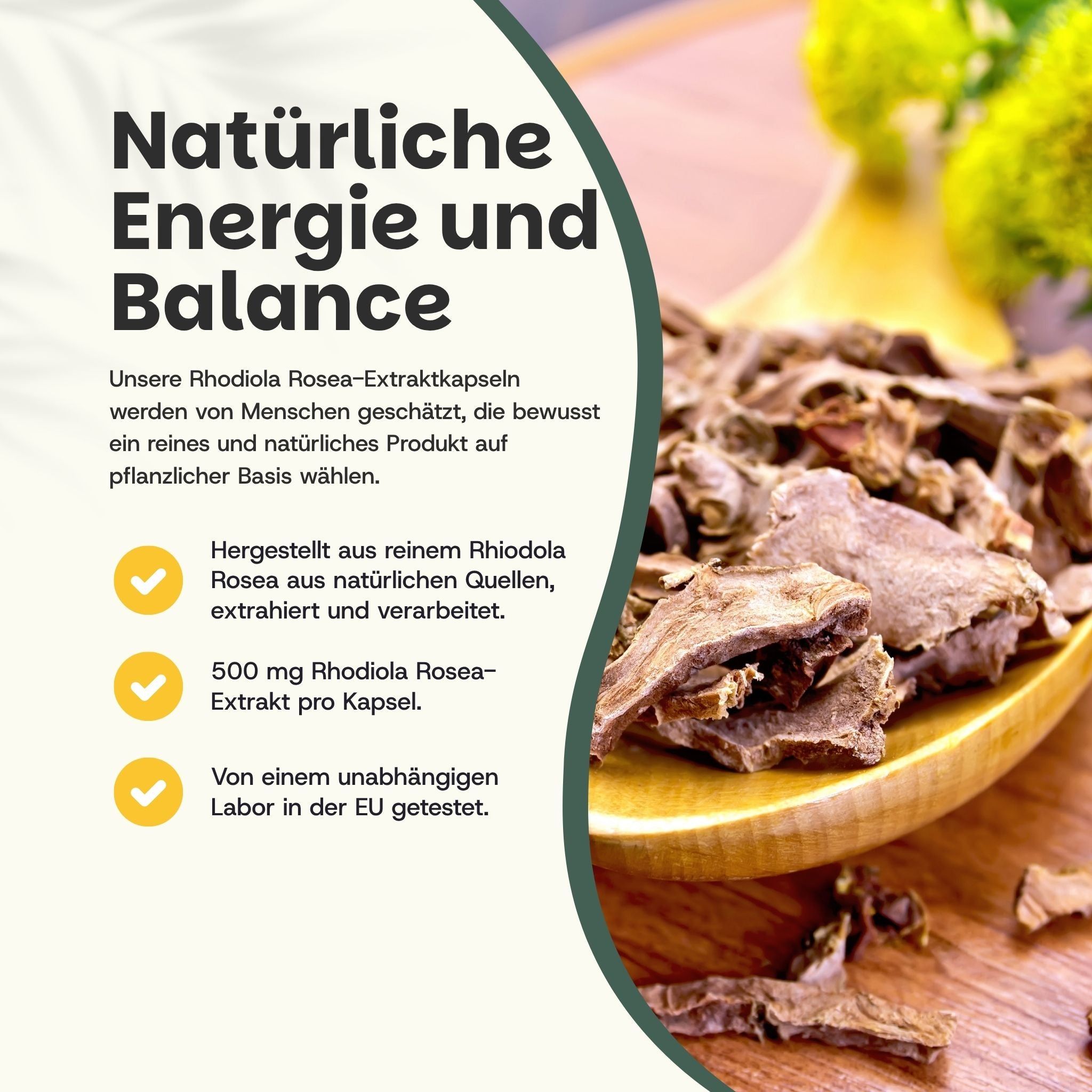 Holzlöffel mit getrockneten Rhodiola Rosea Wurzelstücken. Text: Natürliche Energie und Balance.