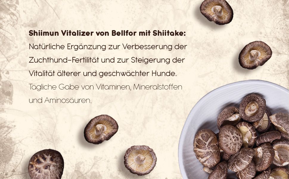 Shiitake-Pilze in einer Schale und verstreut. Daneben eine Schale mit Shiimun Vitalizer. Text: Shiimun Vitalizer von Bellfor mit Shiitake.
