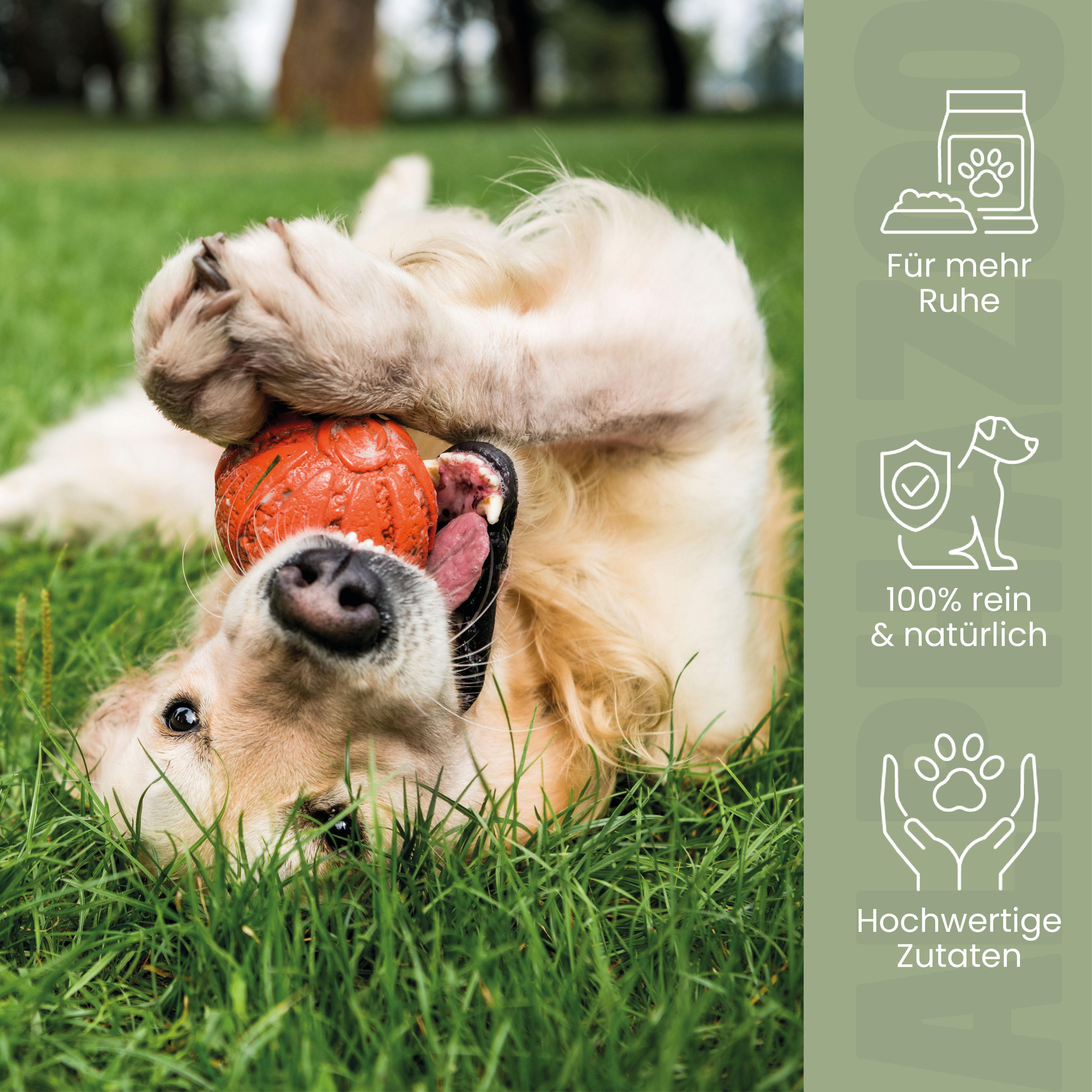 Hund spielt mit Ball im Gras. Text: Für mehr Ruhe, 100% rein & natürlich, Hochwertige Zutaten.