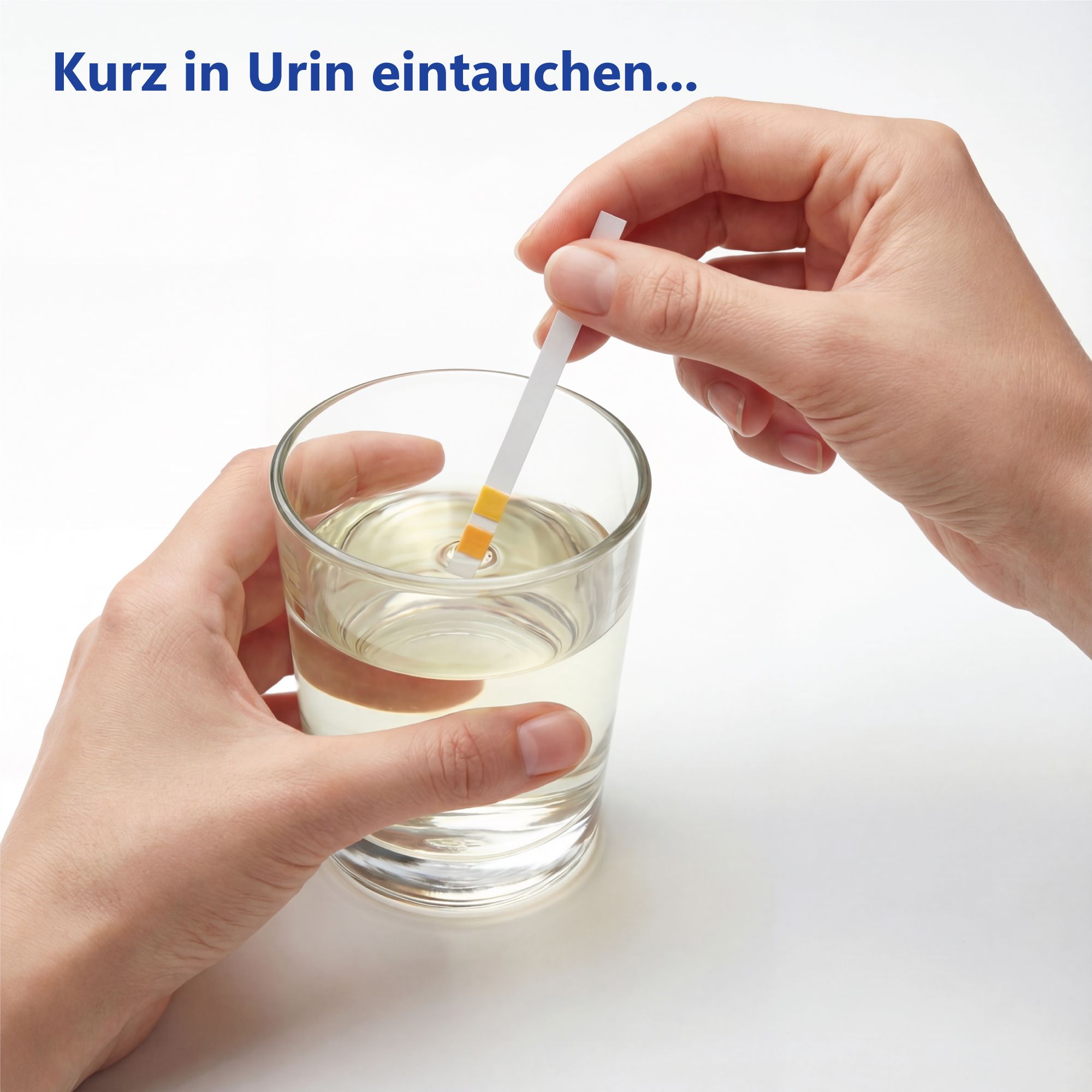 Hände halten pH-Teststreifen in Glas mit Flüssigkeit. Streifen mit gelben und orangen Feldern. Text: Kurz in Urin eintauchen...