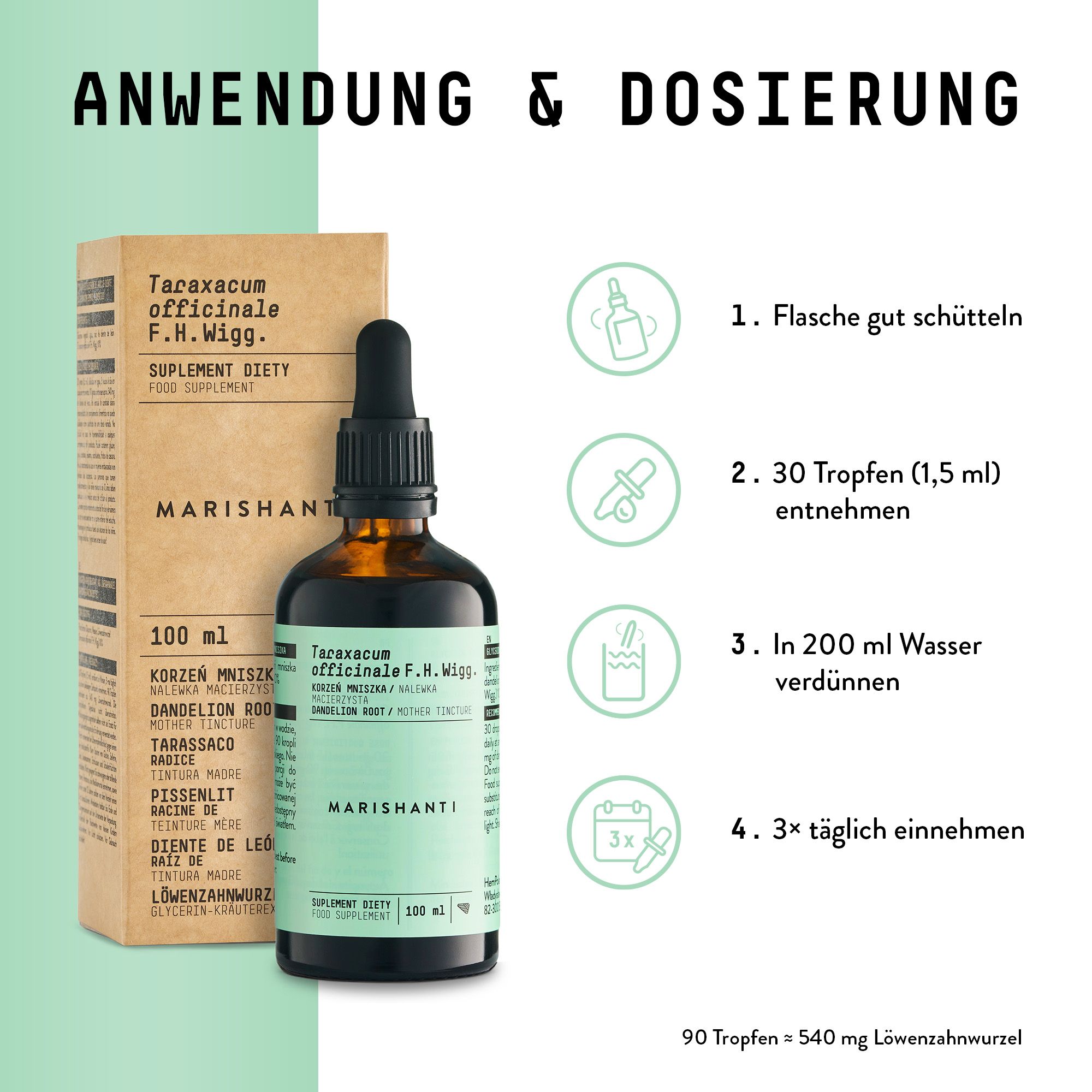Braune Flasche mit Tropfer und Karton. Text: Marishanti, Löwenzahnwurzel Extrakt. Anwendung & Dosierung: 3x täglich, 30 Tropfen in Wasser.