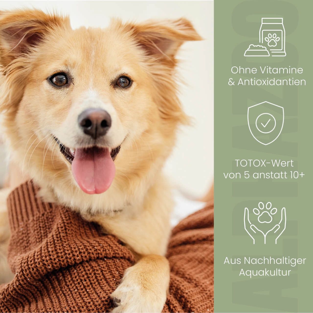 Hund mit Text: Ohne Vitamine & Antioxidantien. TOTOX-Wert von 5 anstatt 10+. Aus nachhaltiger Aquakultur. Hund im Vordergrund.