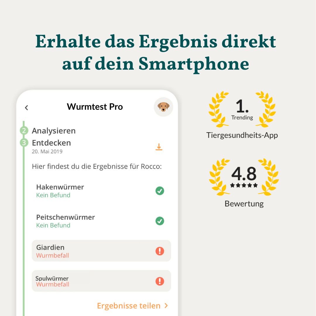 Smartphone-App zeigt Testergebnisse für Hunde, daneben Auszeichnungen für Tiergesundheit und Bewertung.