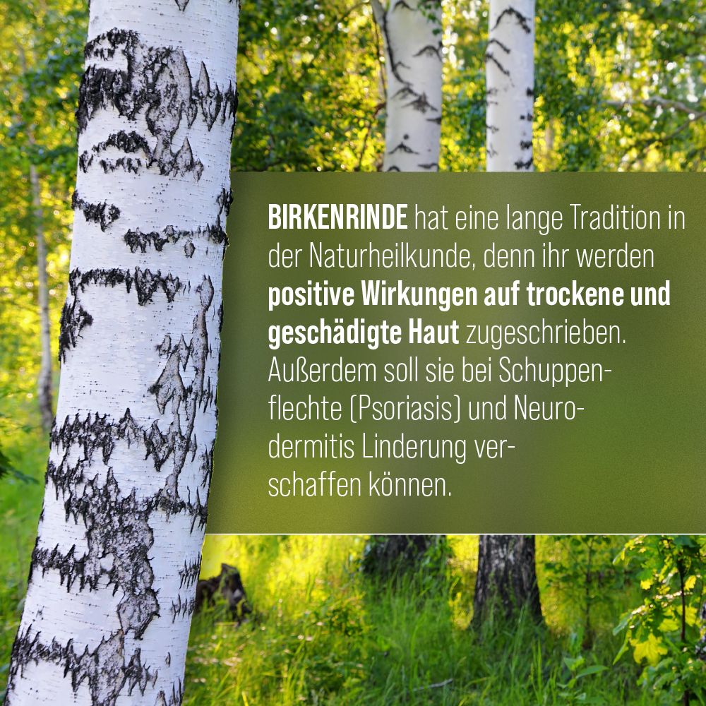 Text über die positive Wirkung von Birkenrinde auf trockene und geschädigte Haut.