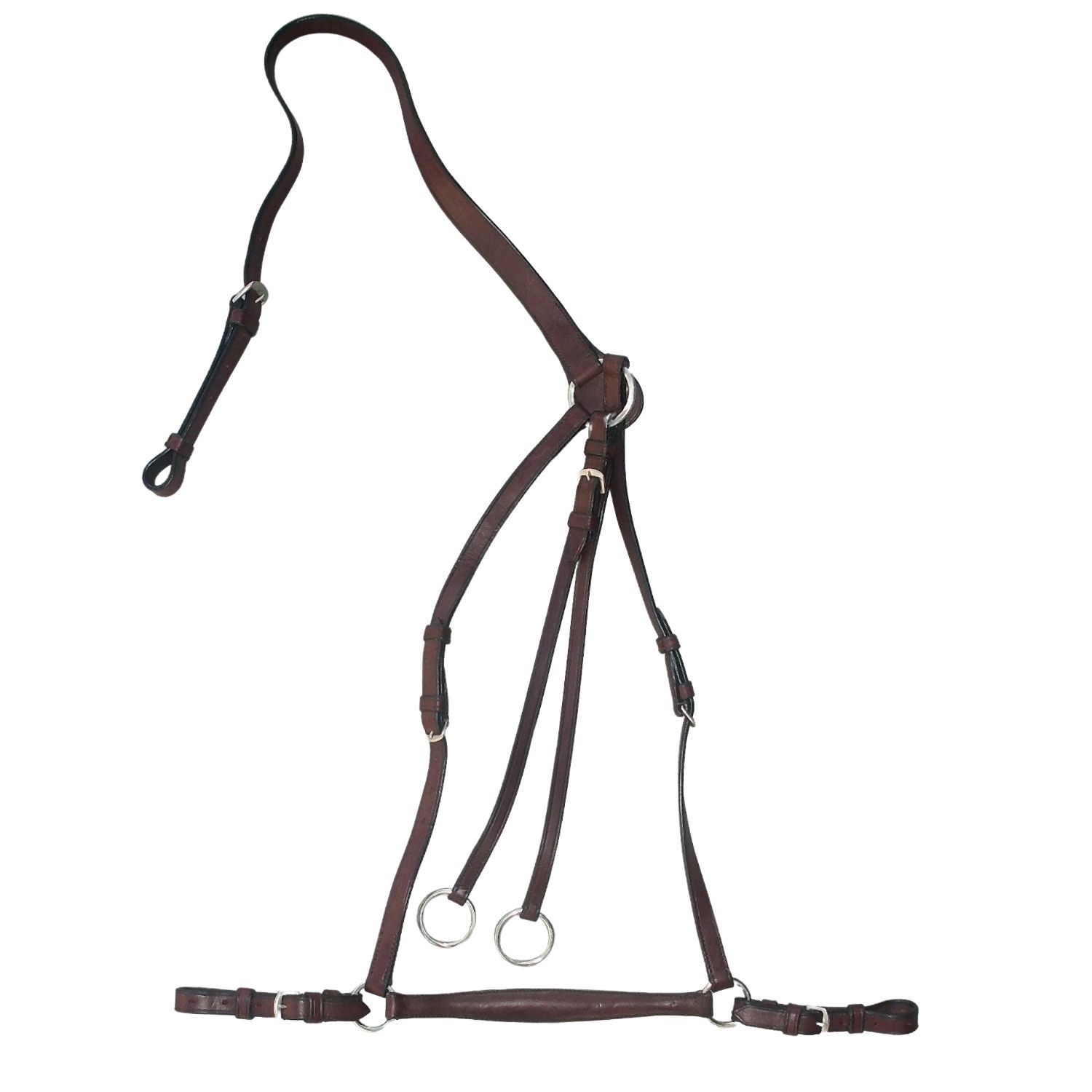 Braunes Vorderzeug mit Martingal. Lederriemen, Metallringe und Schnallen. Für Pferde.