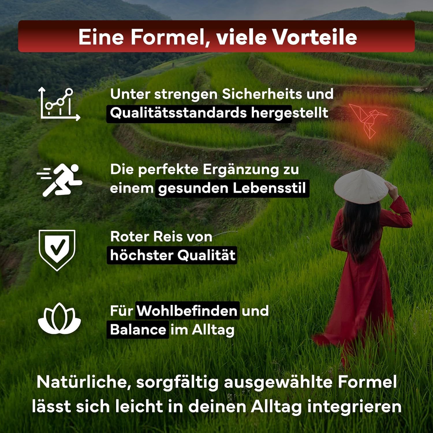 SEVENS NUTRITION Roter Reis: Hergestellt nach strengen Qualitätsstandards für einen gesunden Lebensstil.