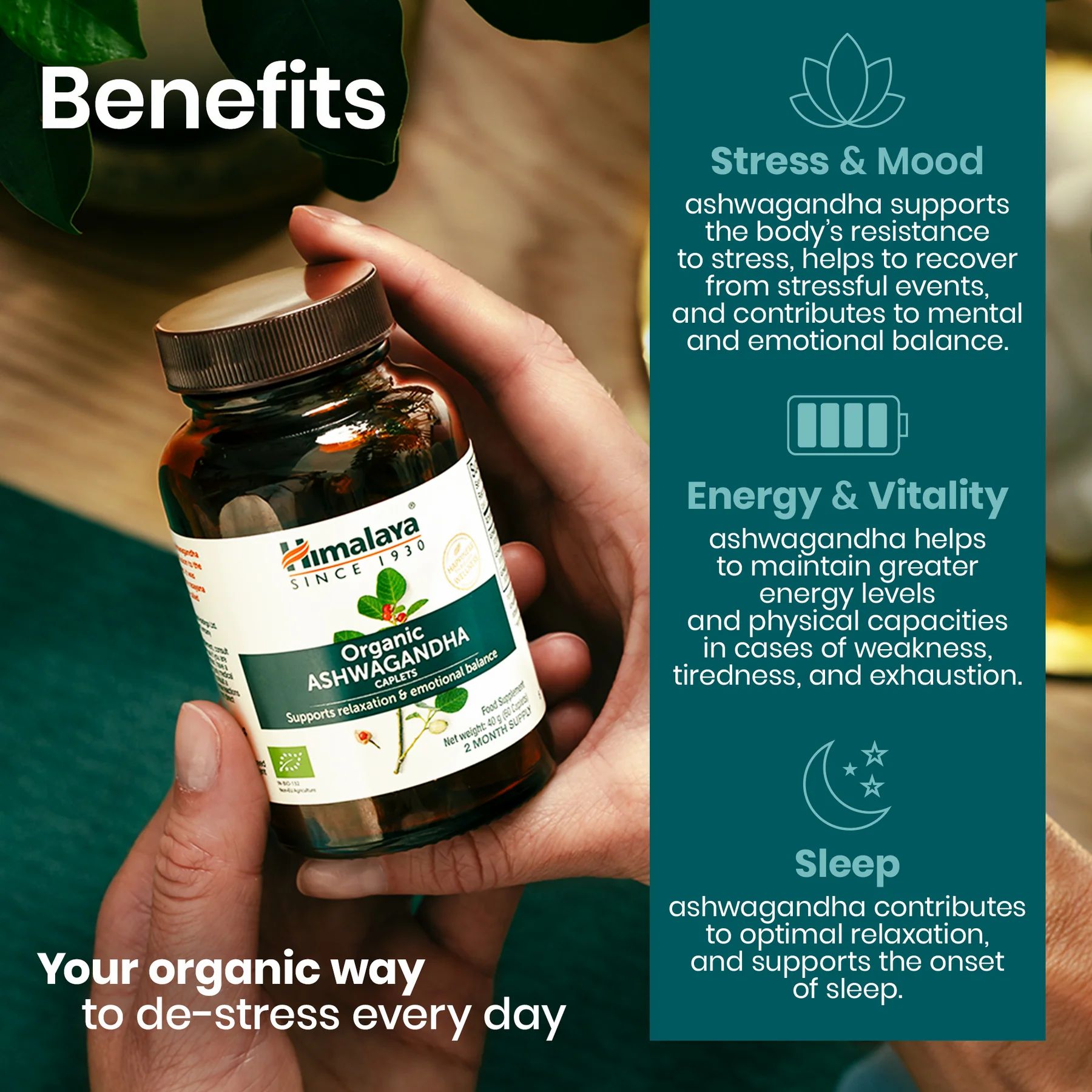 Hände halten Flasche mit Kapseln. Text: Himalaya Organic Ashwagandha, Vorteile.