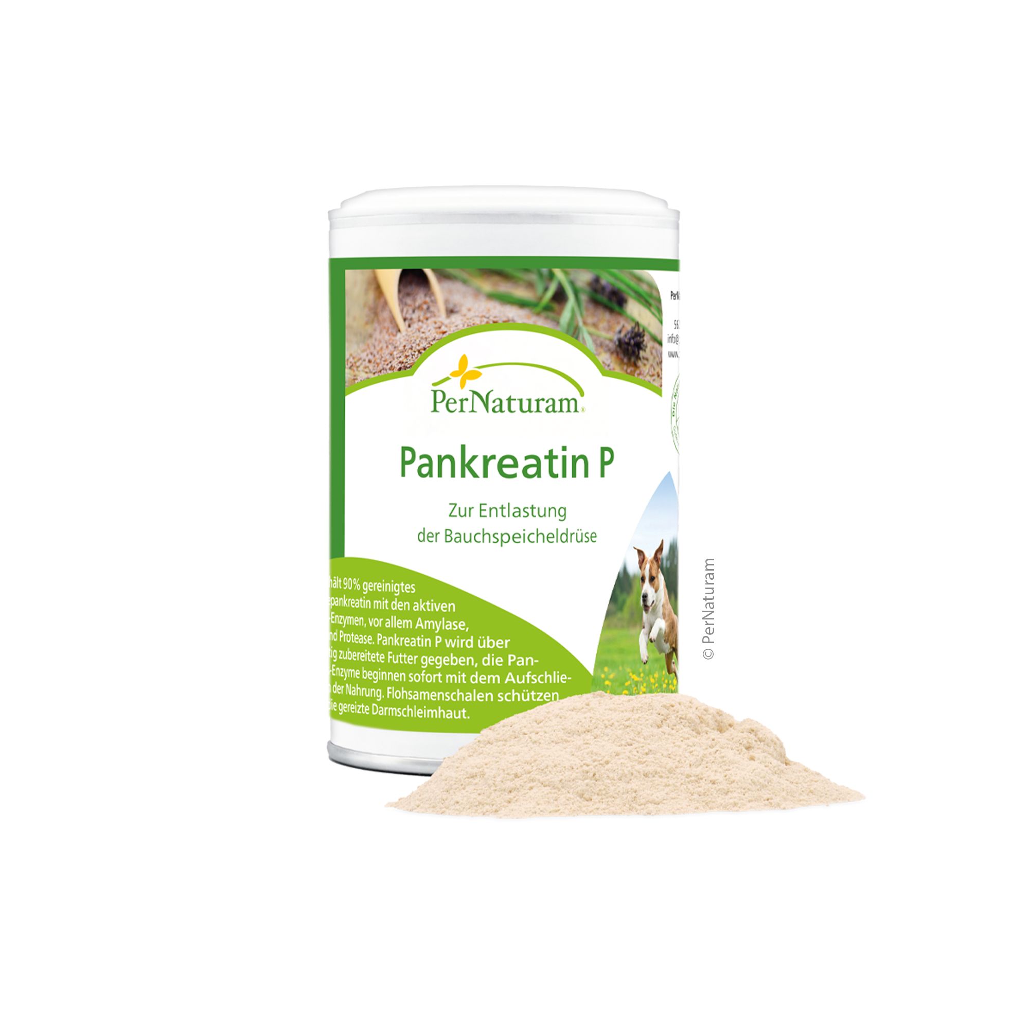 Weißes Pulver neben einer Dose. Dose mit grünem Etikett, Text: PerNaturam Pankreatin P. Zur Entlastung der Bauchspeicheldrüse.
