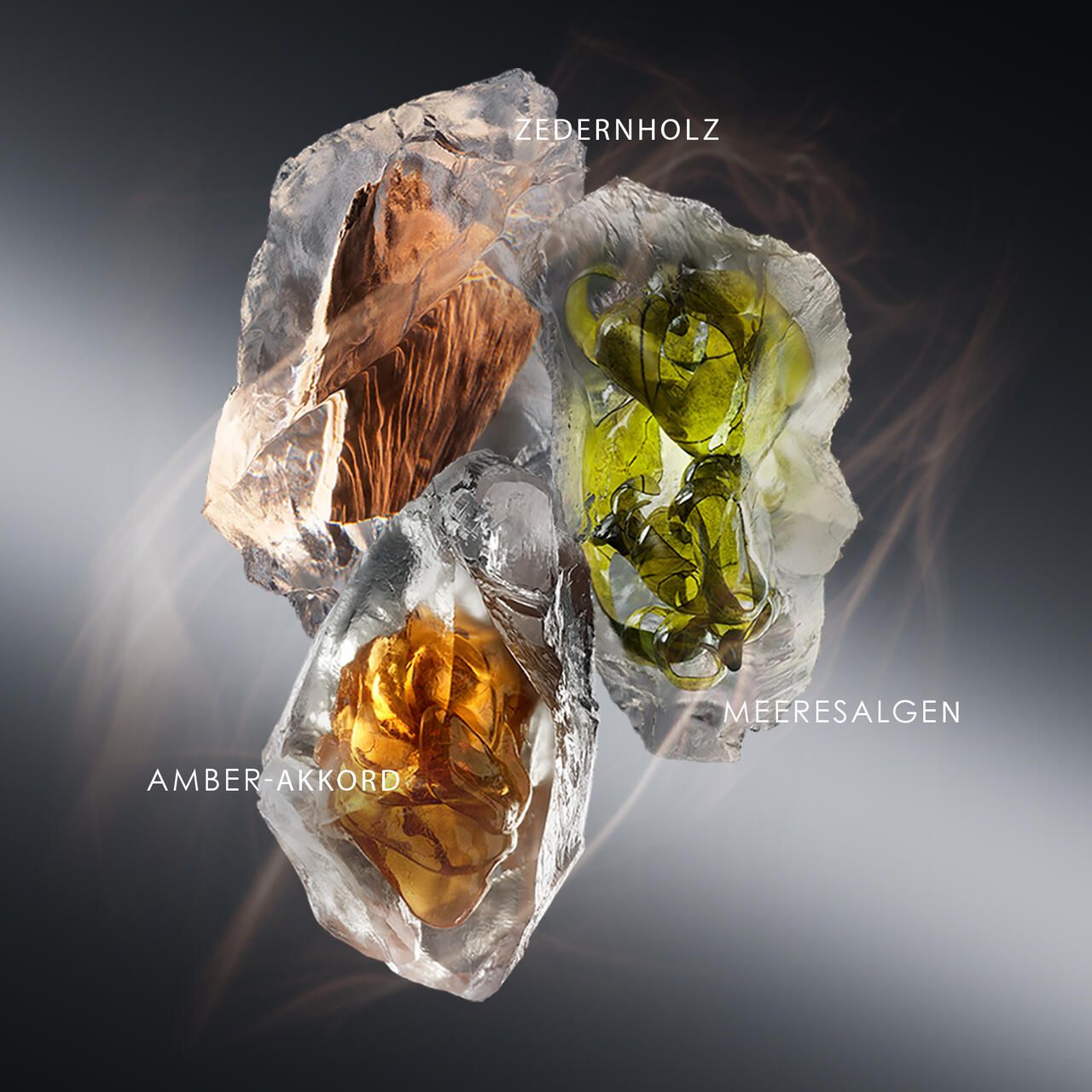 Abstrakte Darstellung von Inhaltsstoffen: Zedernholz, Meeresalgen, Amber-Akkord, in Eisblöcken.