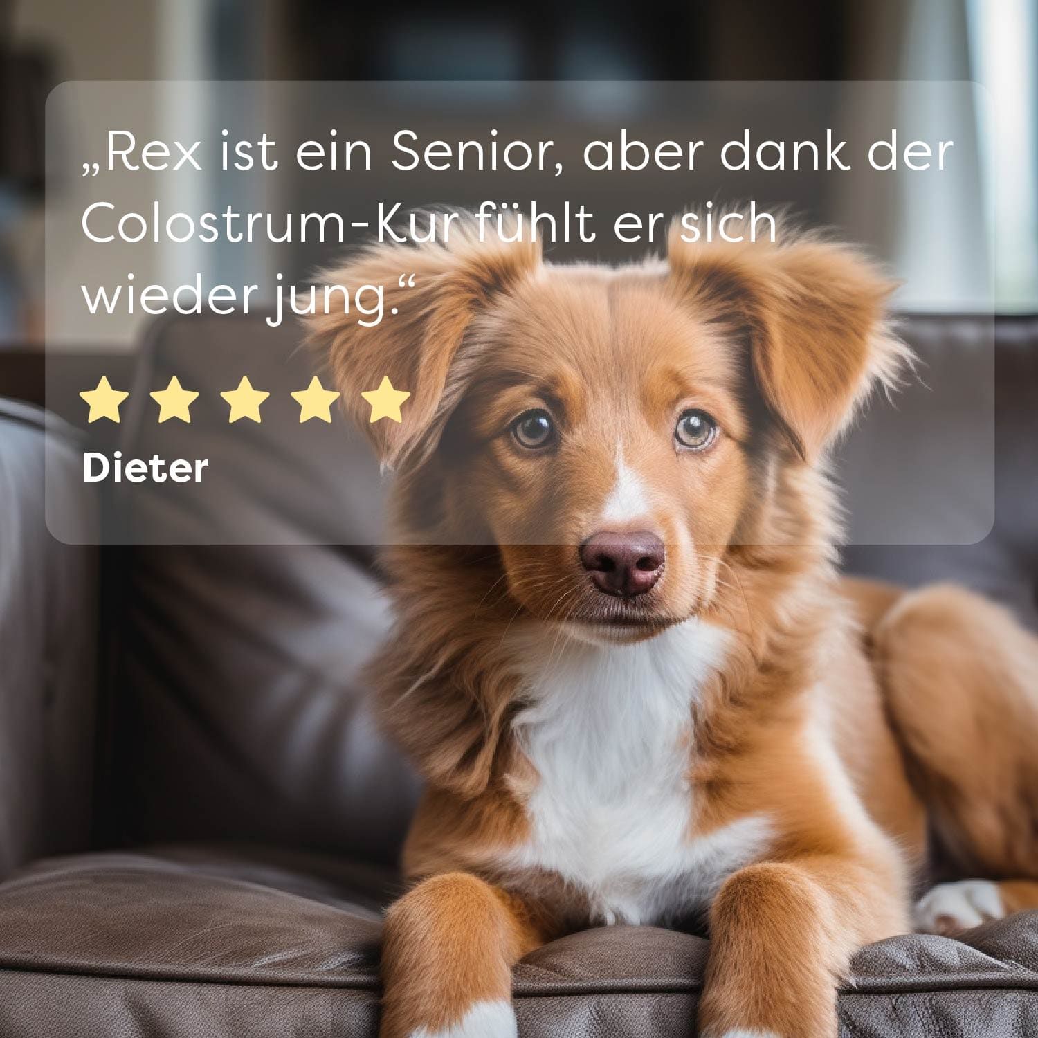 Colostrum 125ml