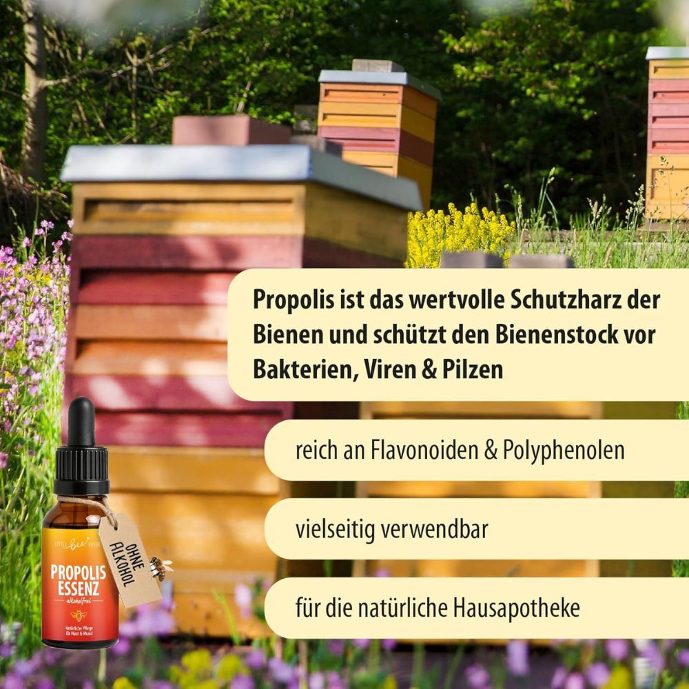 Tropfflasche vor Bienenstöcken. Auf dem Etikett steht 'Propolis Essenz'. Text: 'Propolis ist das wertvolle Schutzharz der Bienen'.
